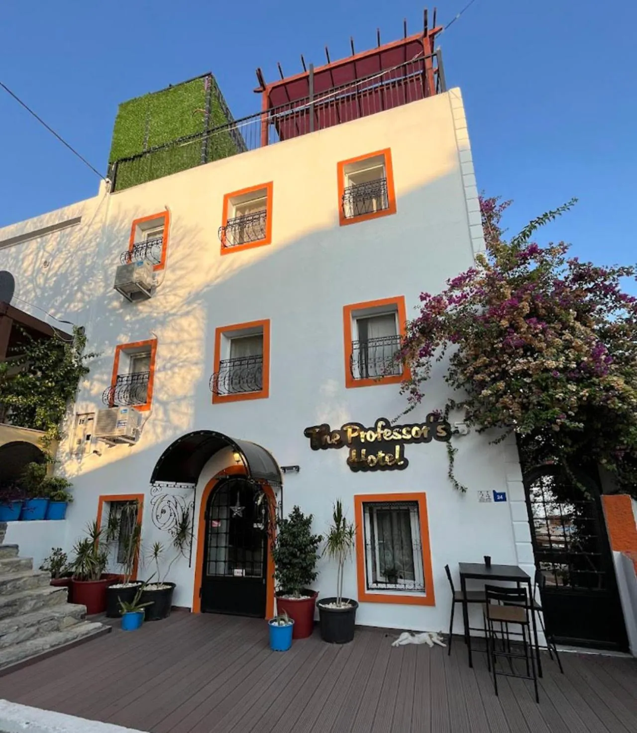 Property building in The Professor's Hotel