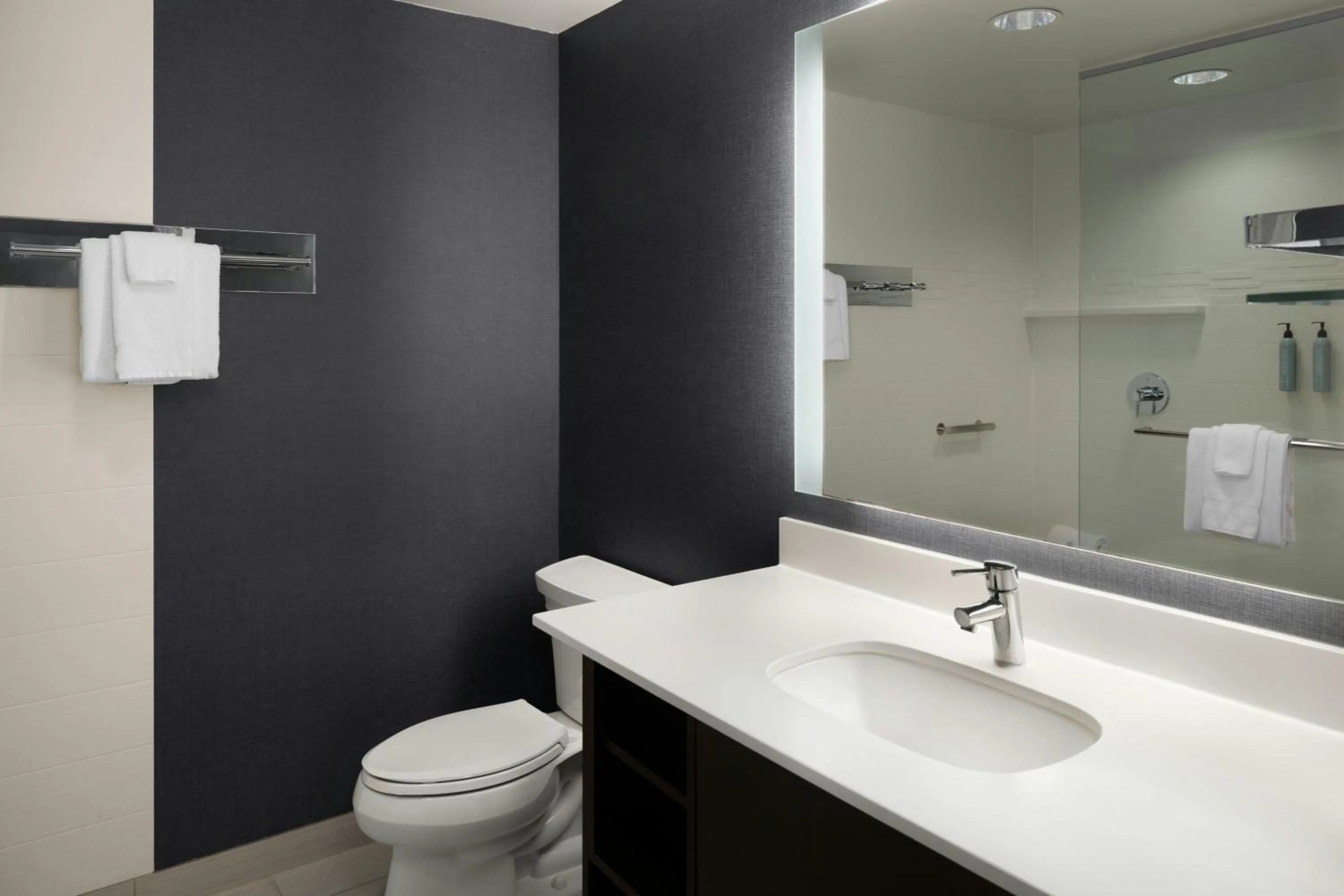 Bathroom in Residence Inn by Marriott Pullman