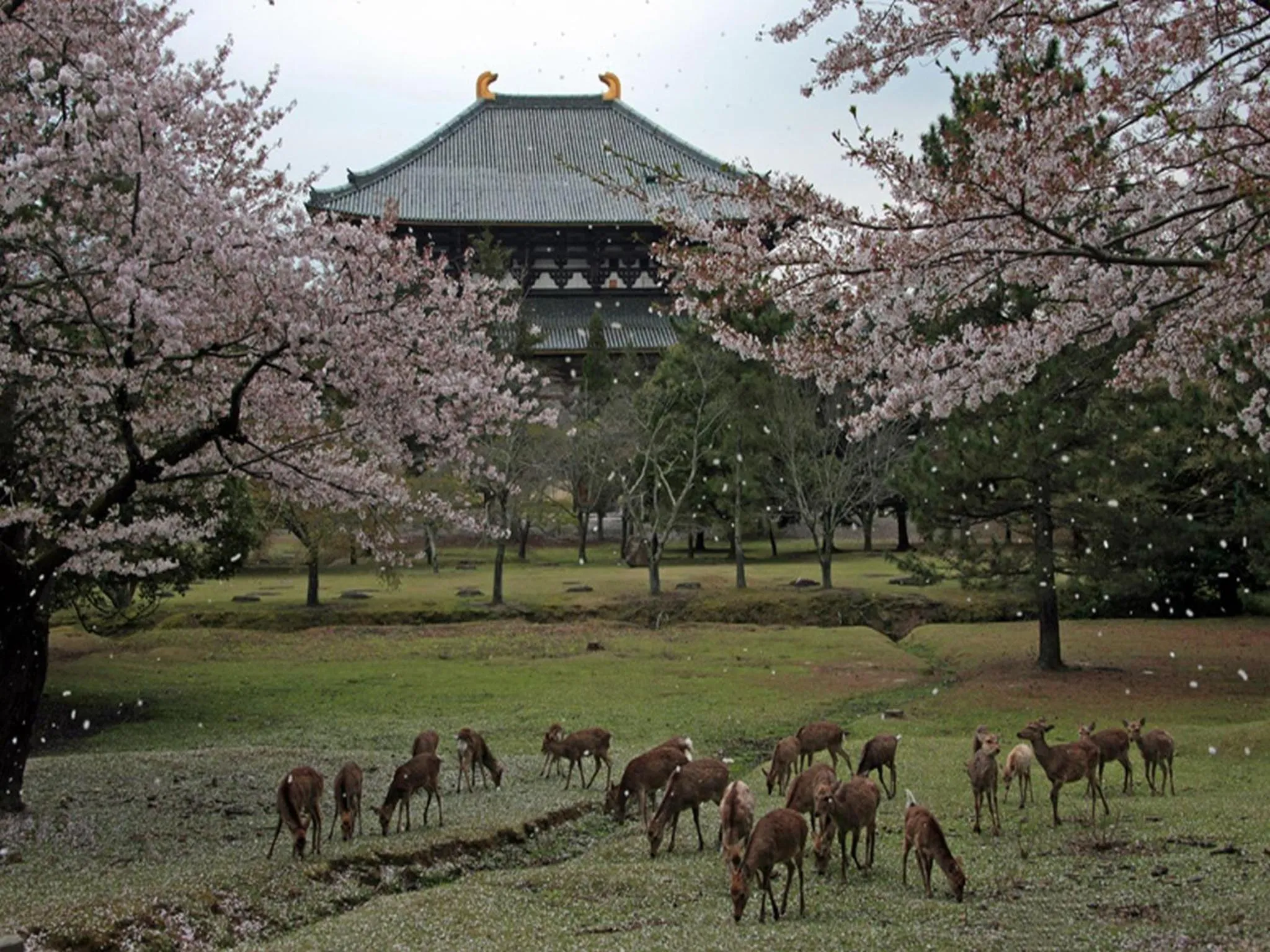 Nearby landmark in Hotel Raizan North