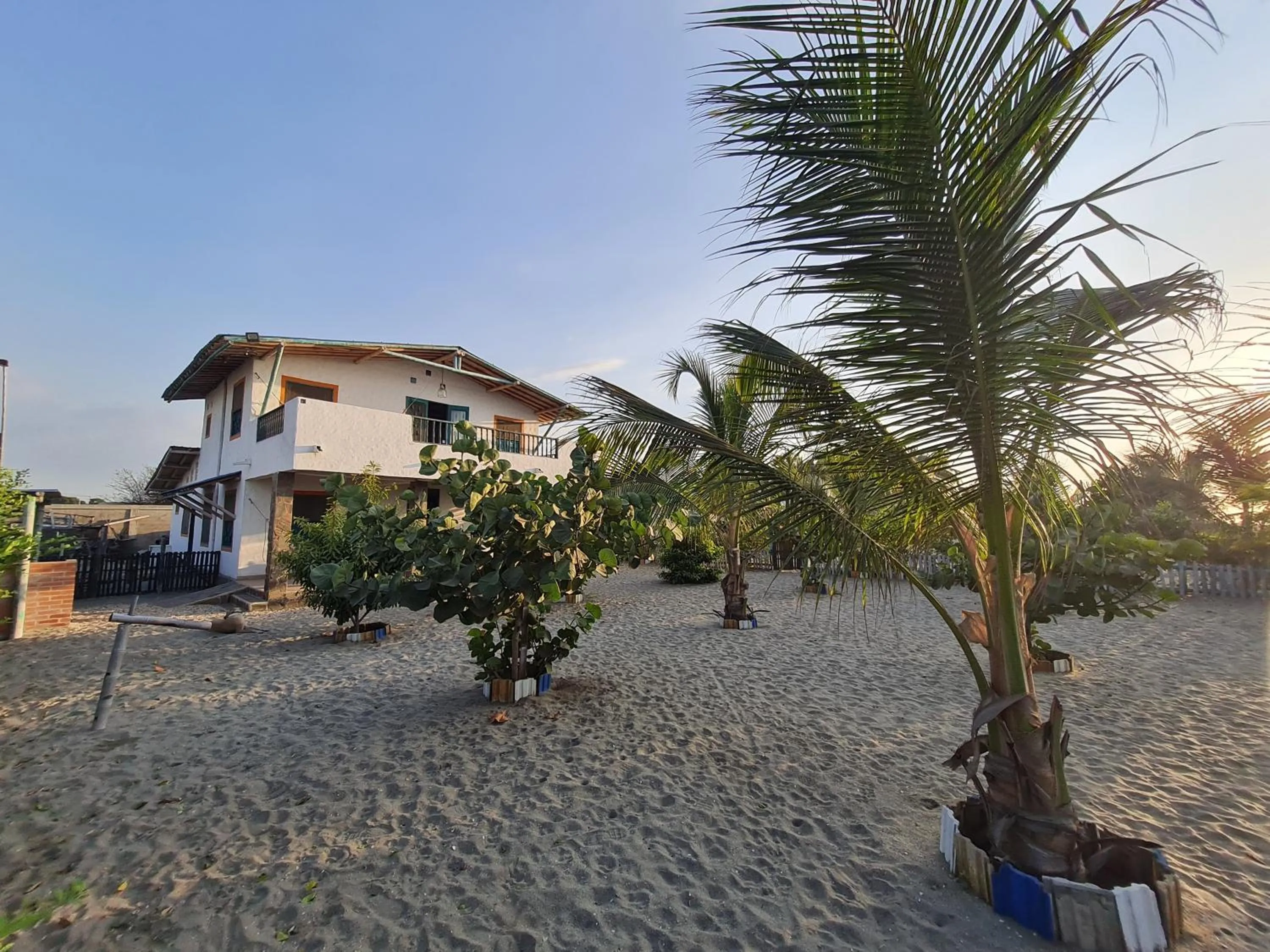 Garden in Eco-Hotel Chevere Beach
