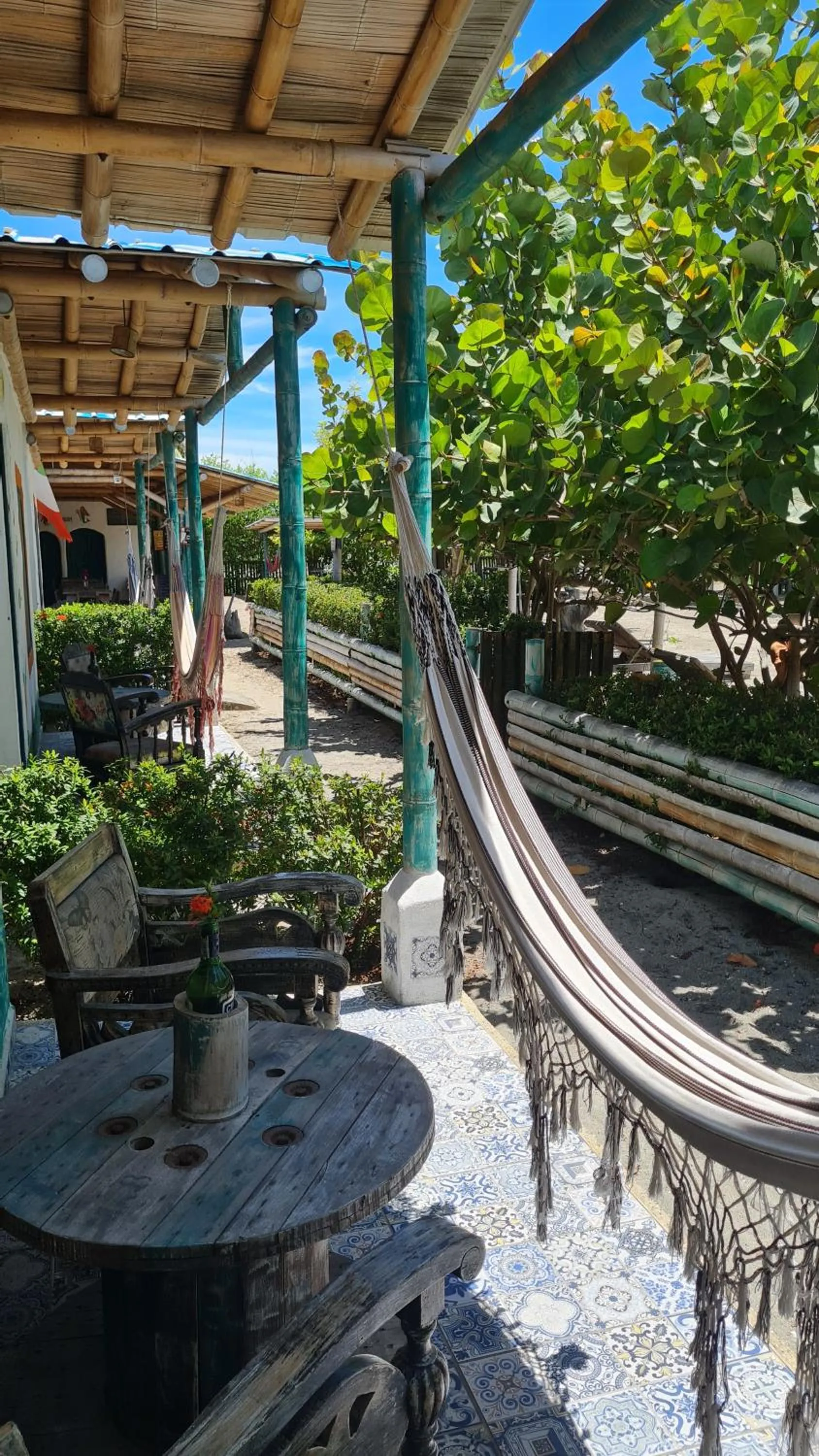 Garden view in Eco-Hotel Chevere Beach