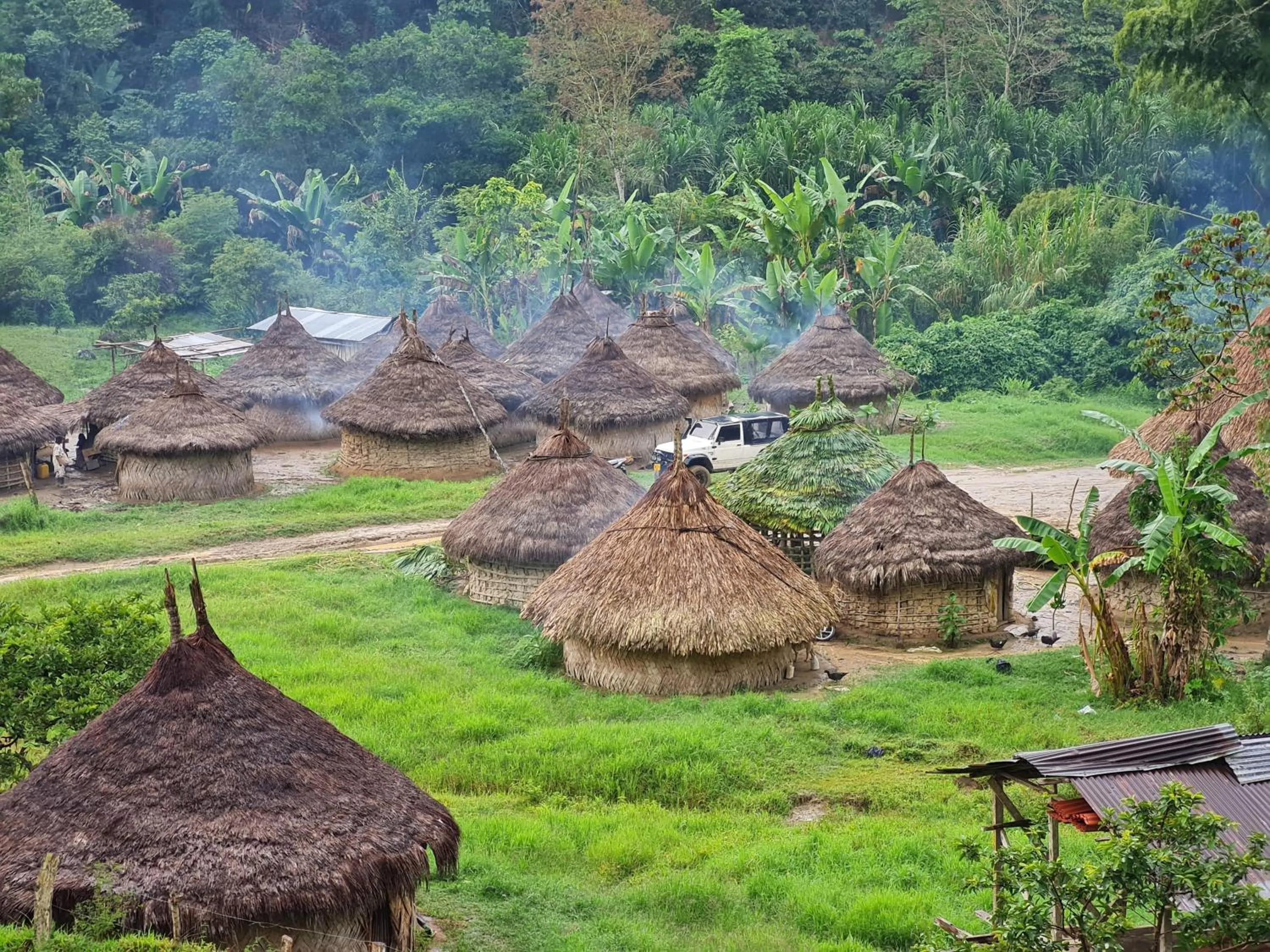 Activities in Eco-Hotel Chevere Beach