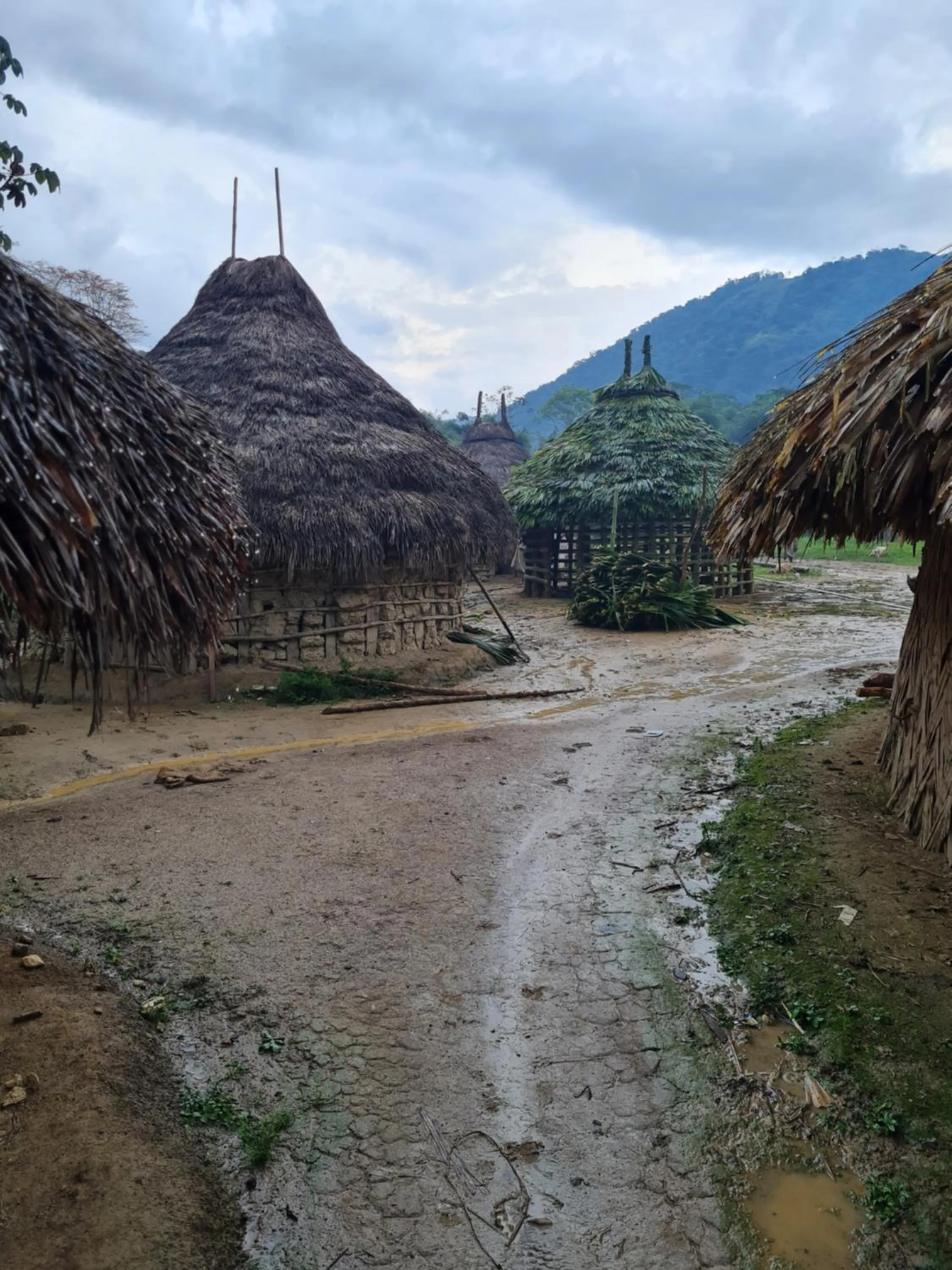 Activities in Eco-Hotel Chevere Beach