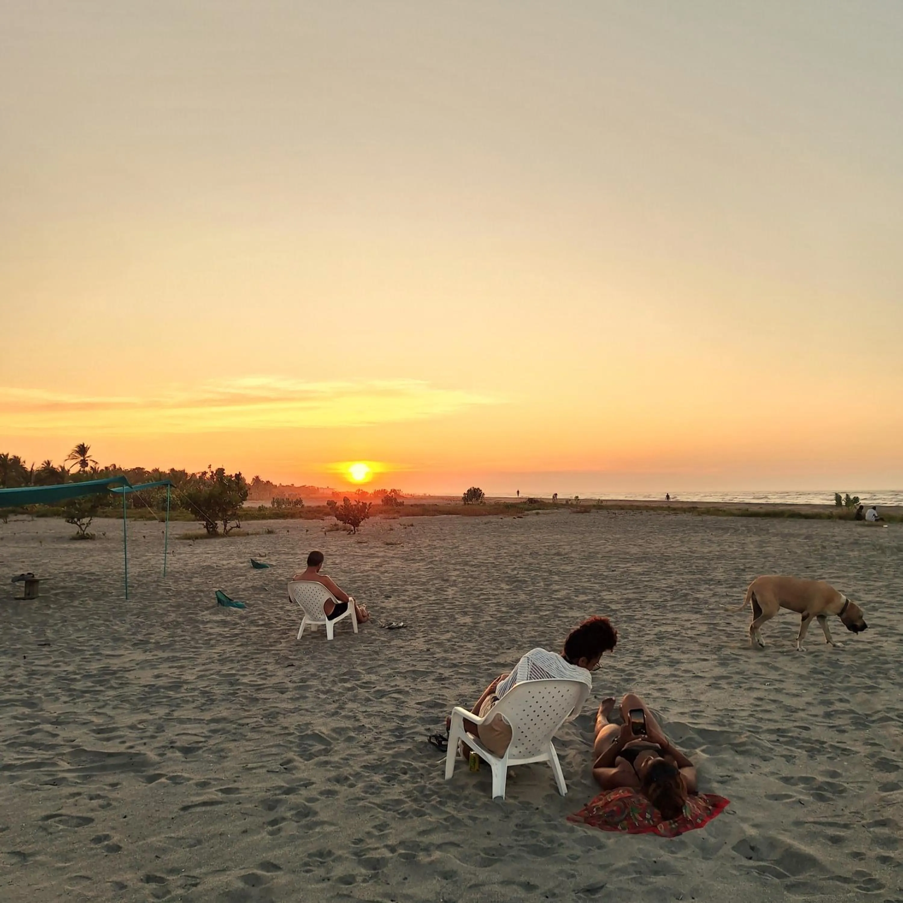 Beach in Eco-Hotel Chevere Beach