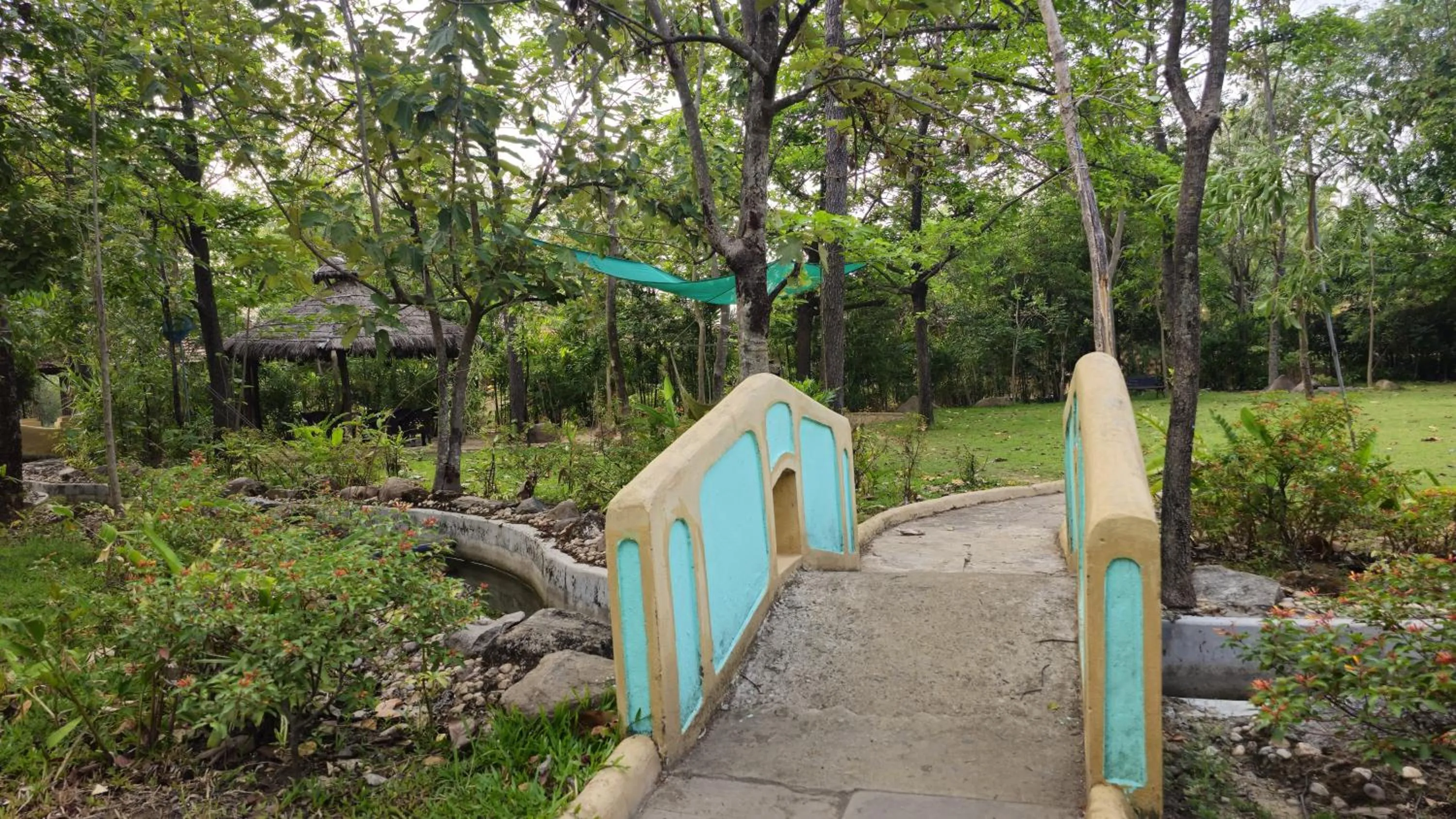 Garden in The Celebration Van Vilas