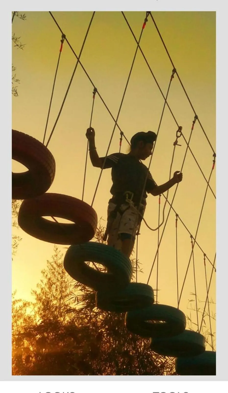 group of guests in The Celebration Van Vilas