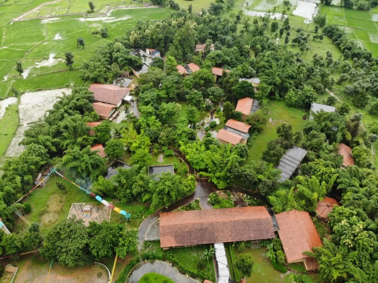 Day in The Celebration Van Vilas