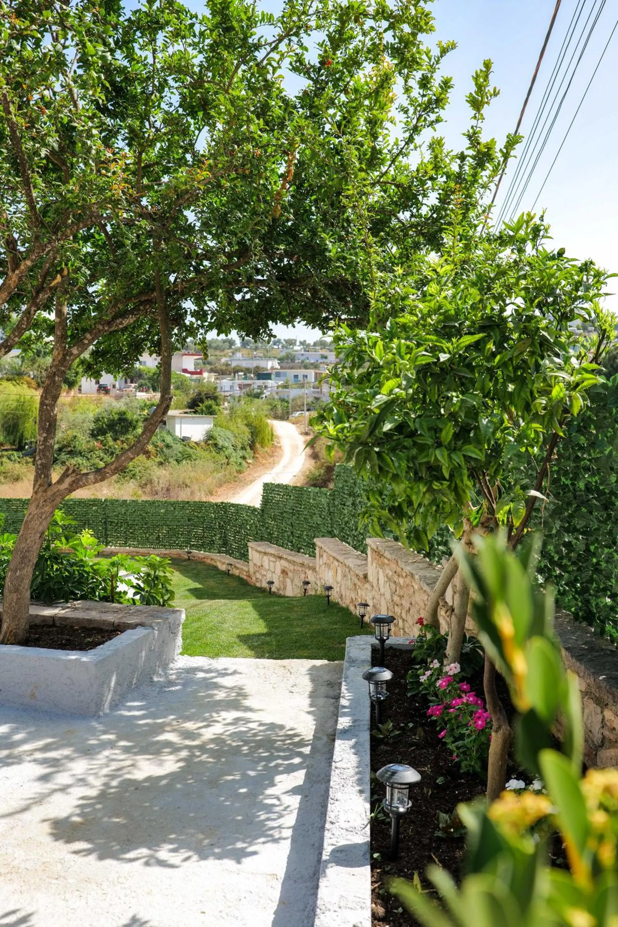 Garden in La Maison Boutique Hotel