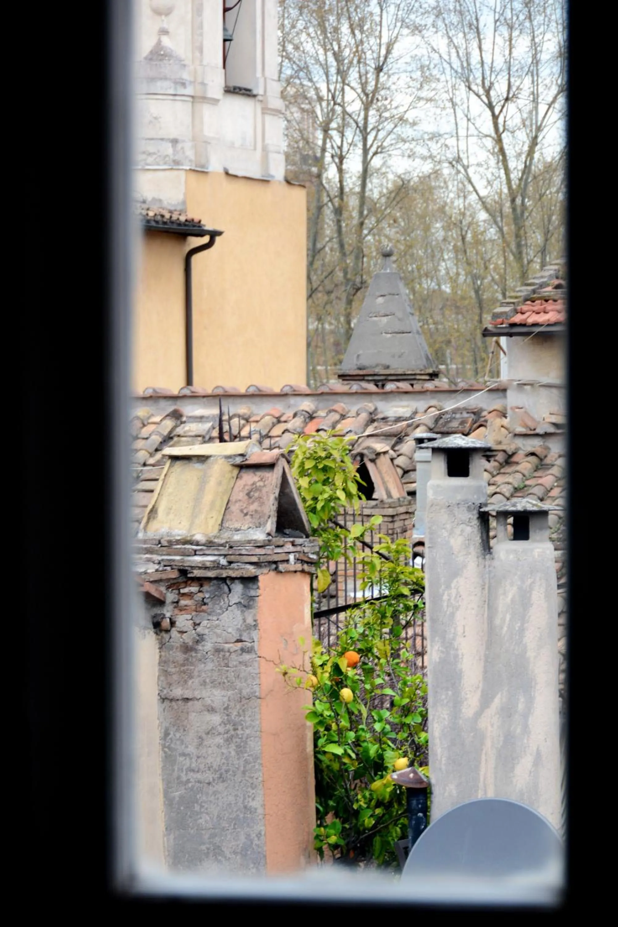 View (from property/room) in Appartamento Coronari