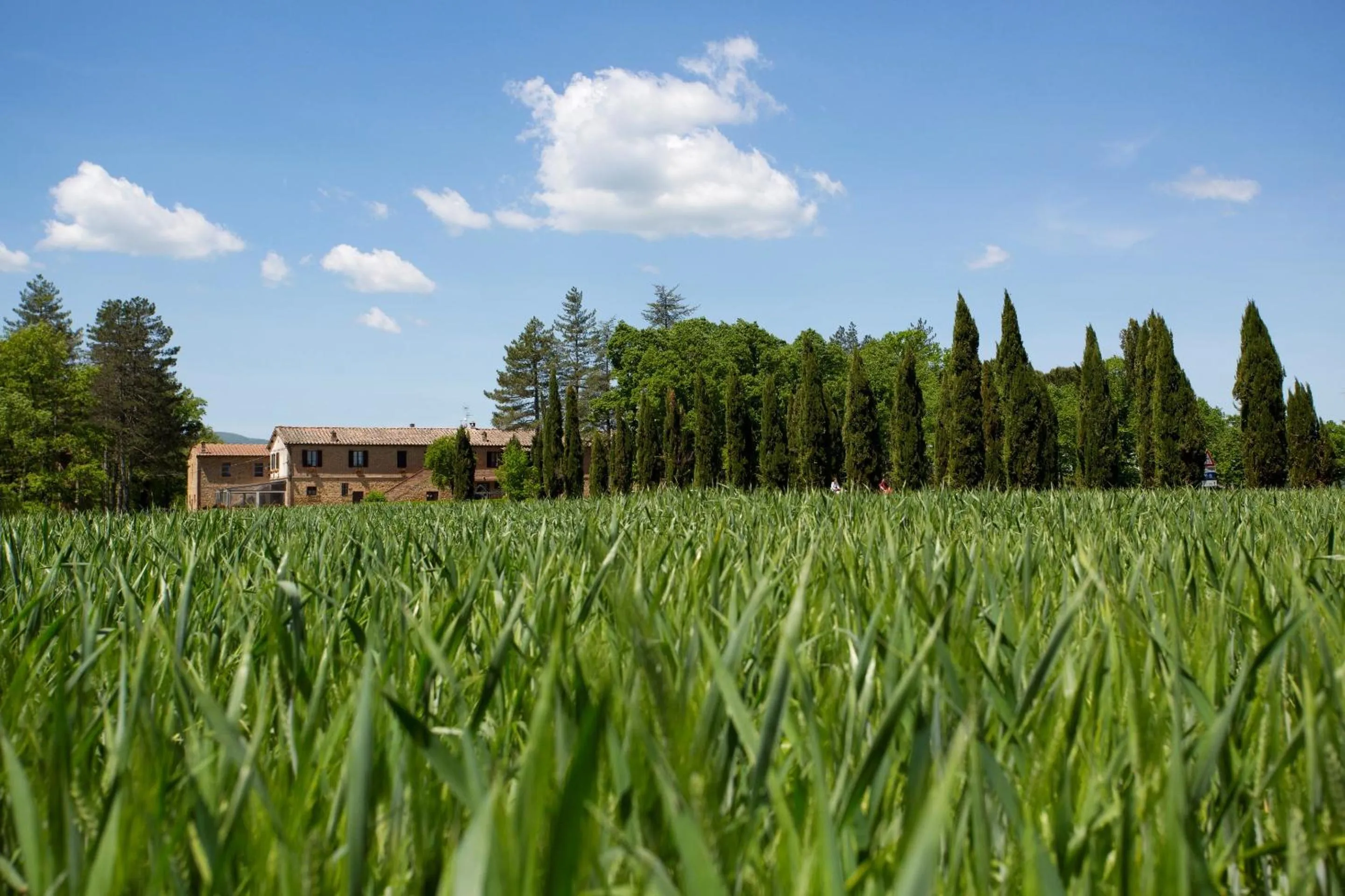 Landmark view in Agriturismo San Galgano