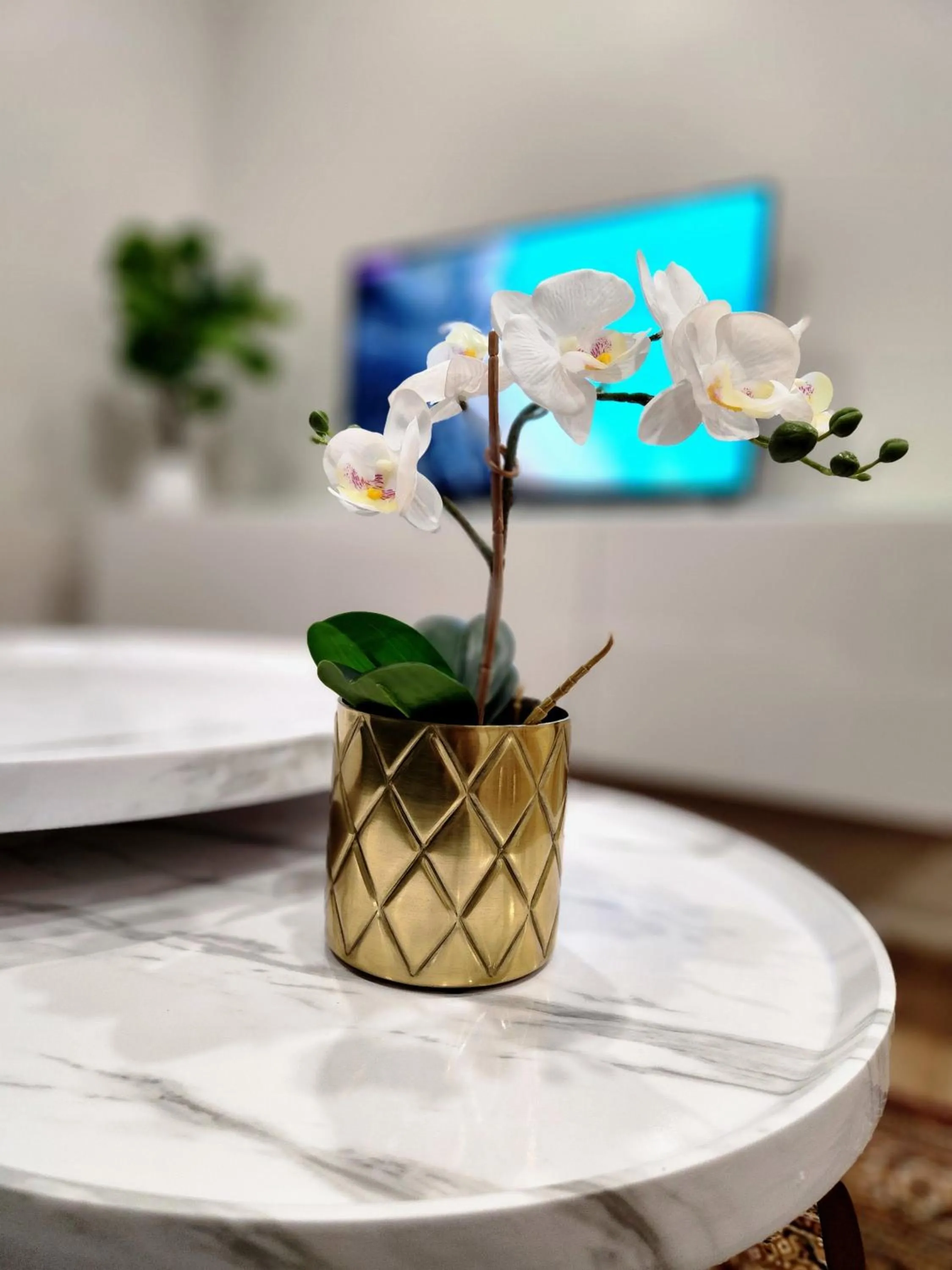 TV and multimedia in The Cozy Cove Modern King-Bedroom Full Apartment