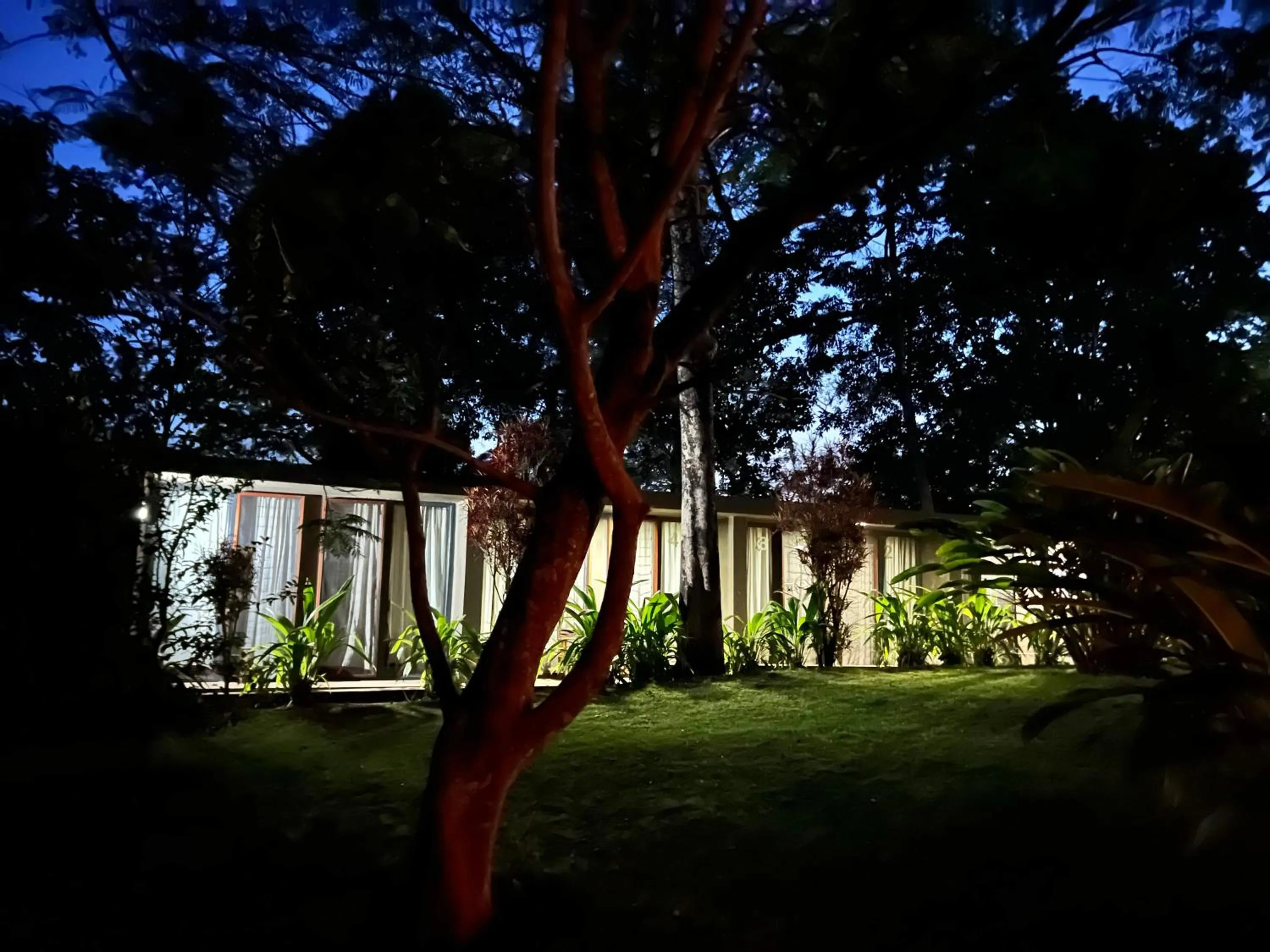 Spring in Kaliwa Lodge