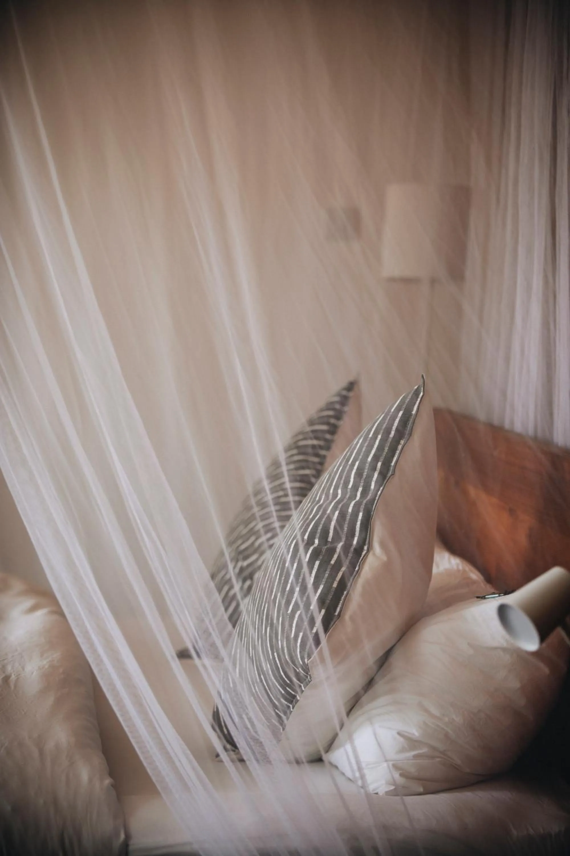 Property building in Kaliwa Lodge