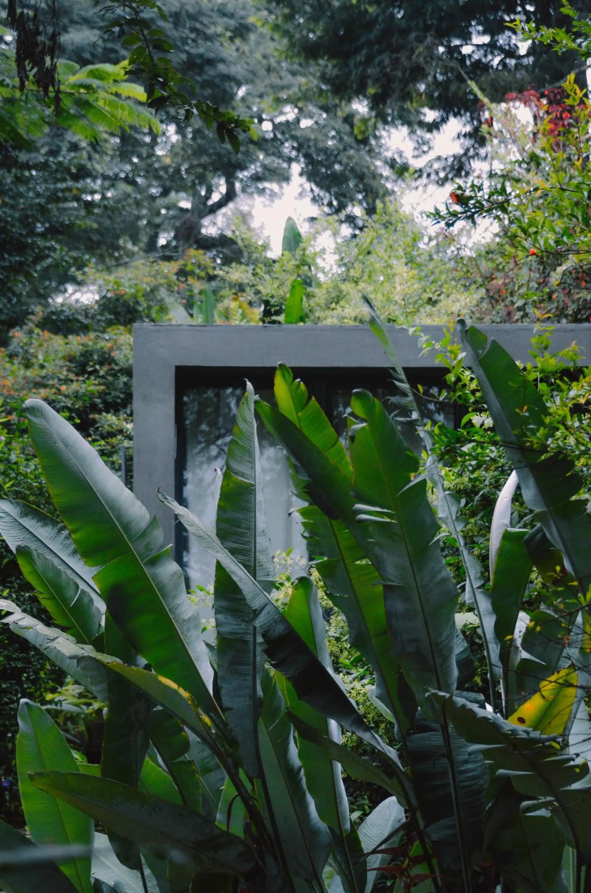 Spring in Kaliwa Lodge