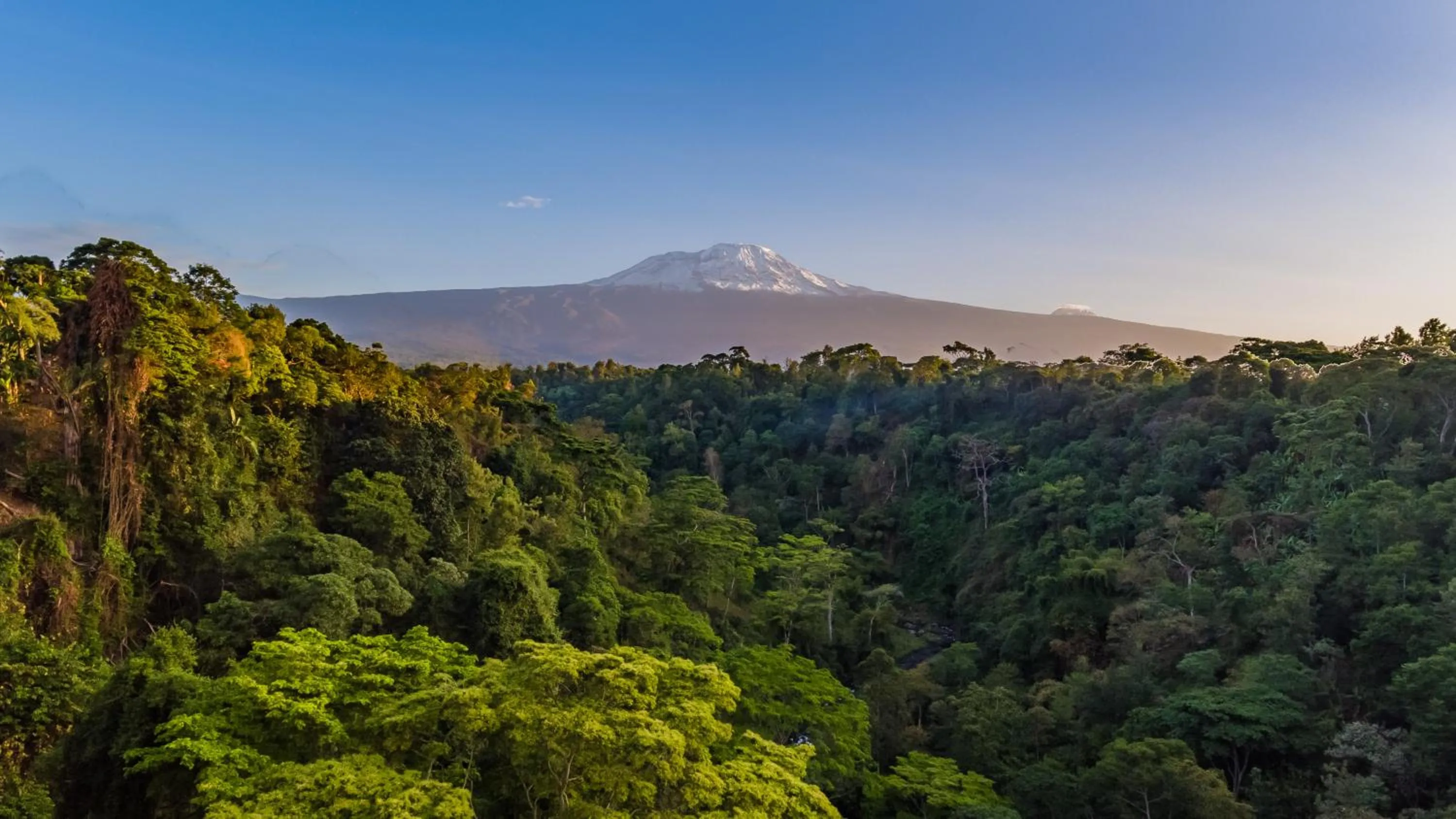 Landmark view in Kaliwa Lodge