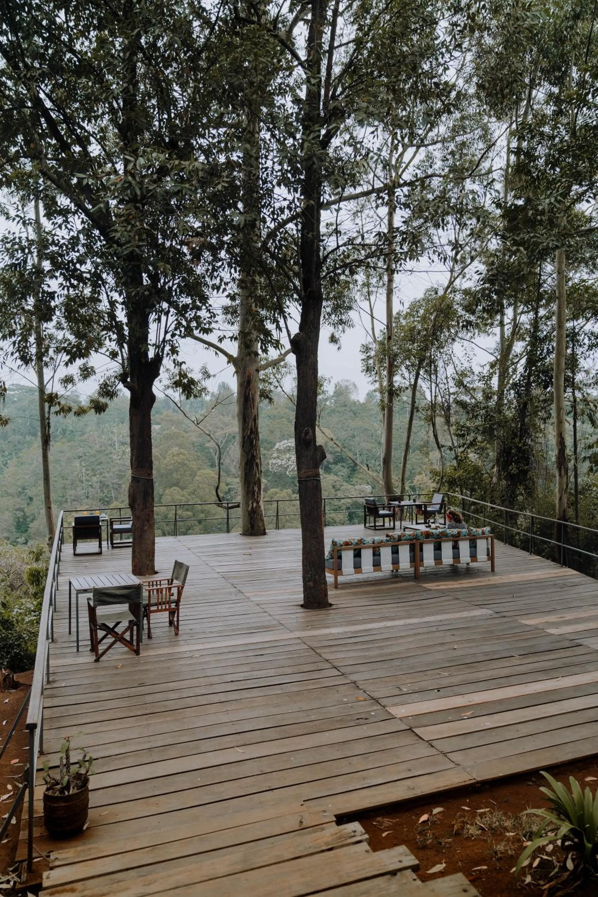 Spring in Kaliwa Lodge