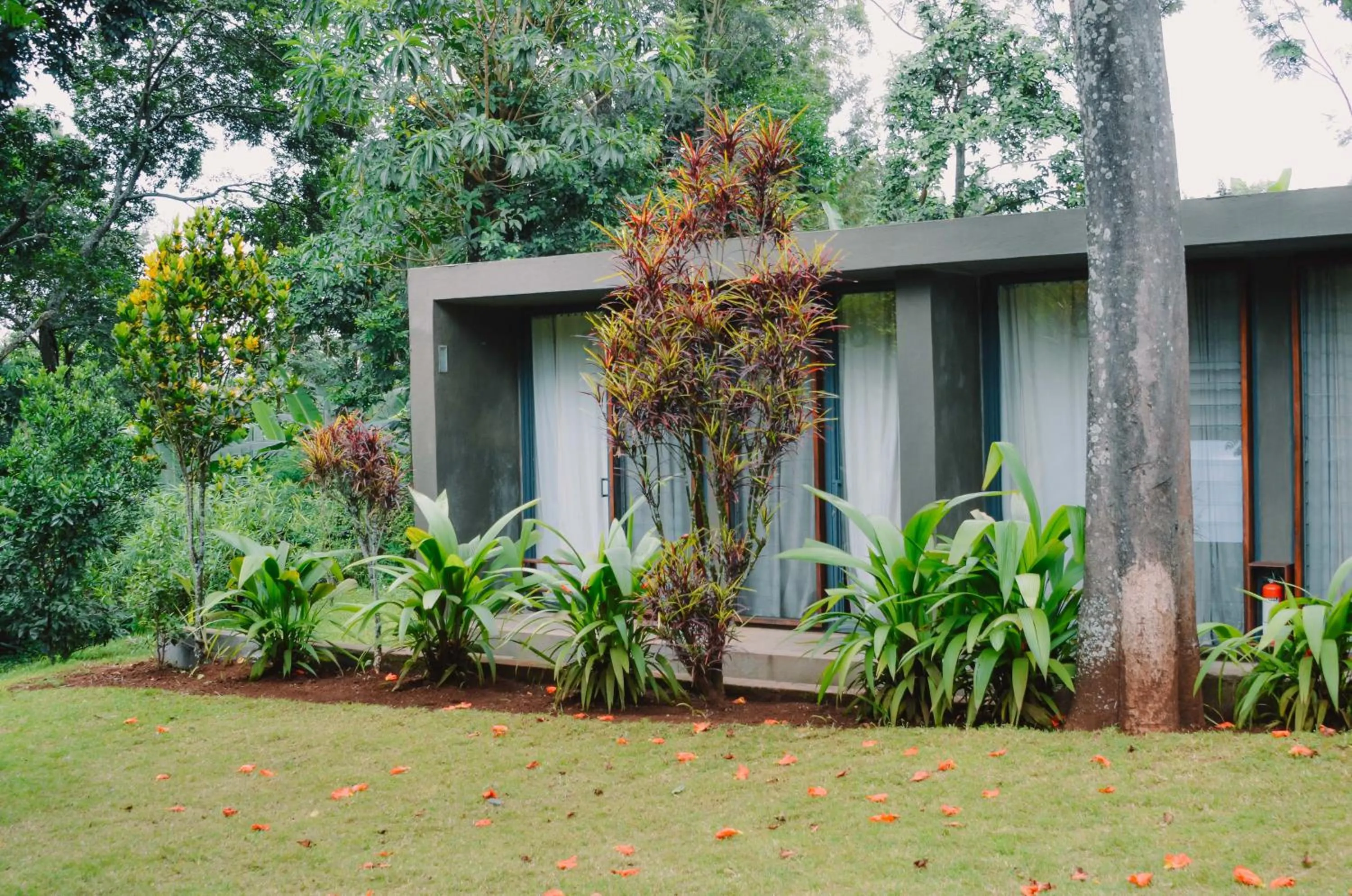 Property building in Kaliwa Lodge