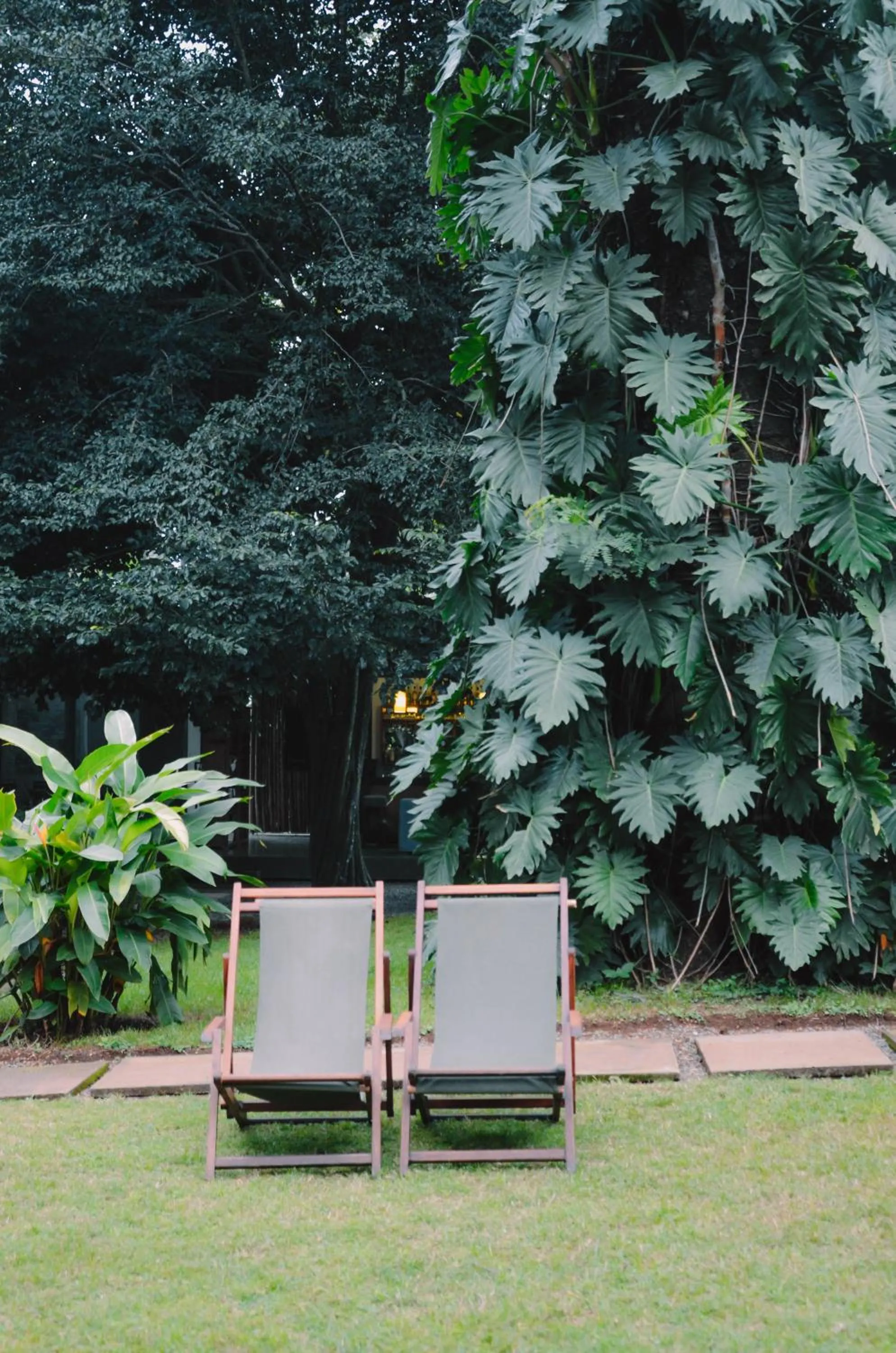 Garden in Kaliwa Lodge