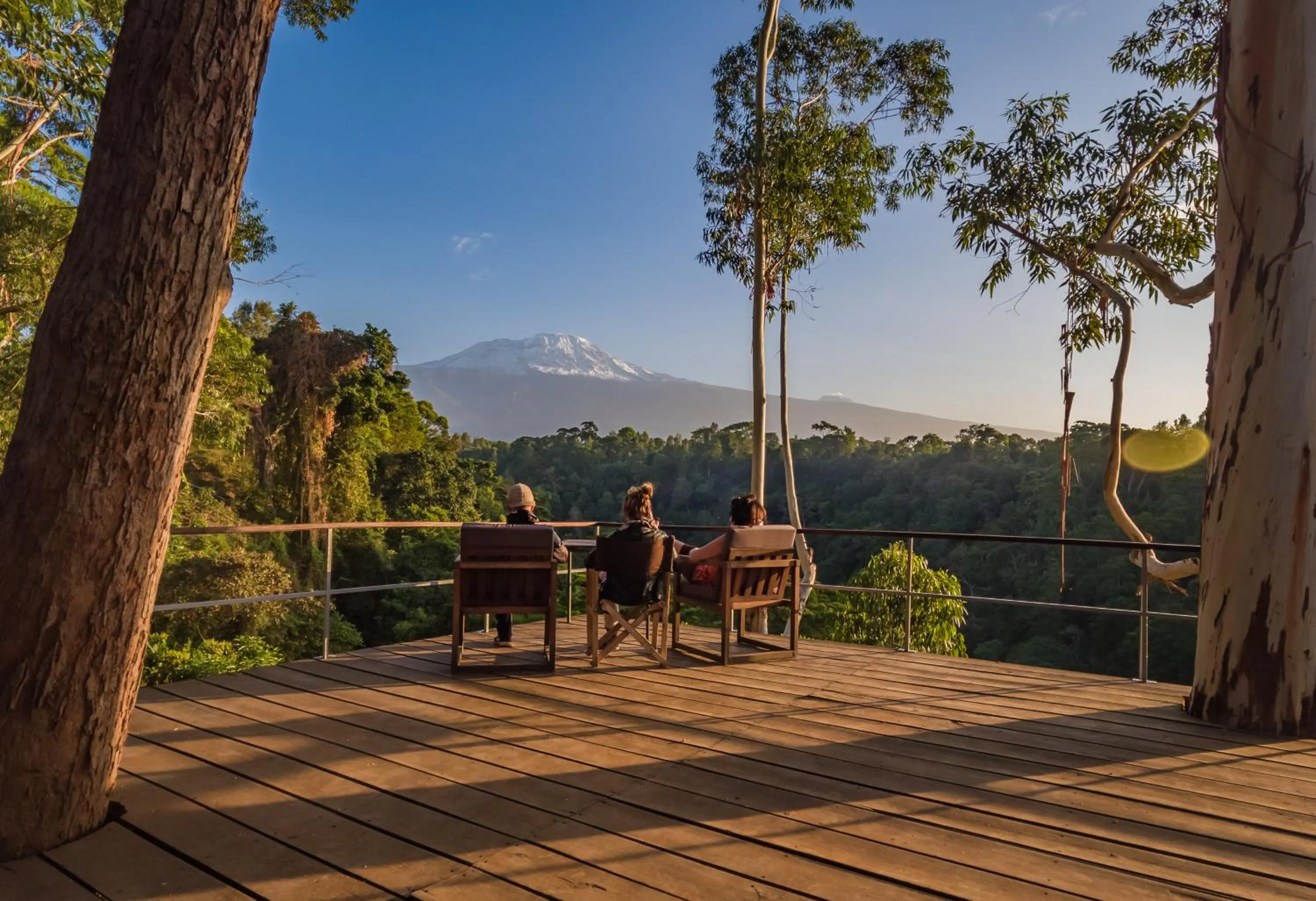 Animals in Kaliwa Lodge