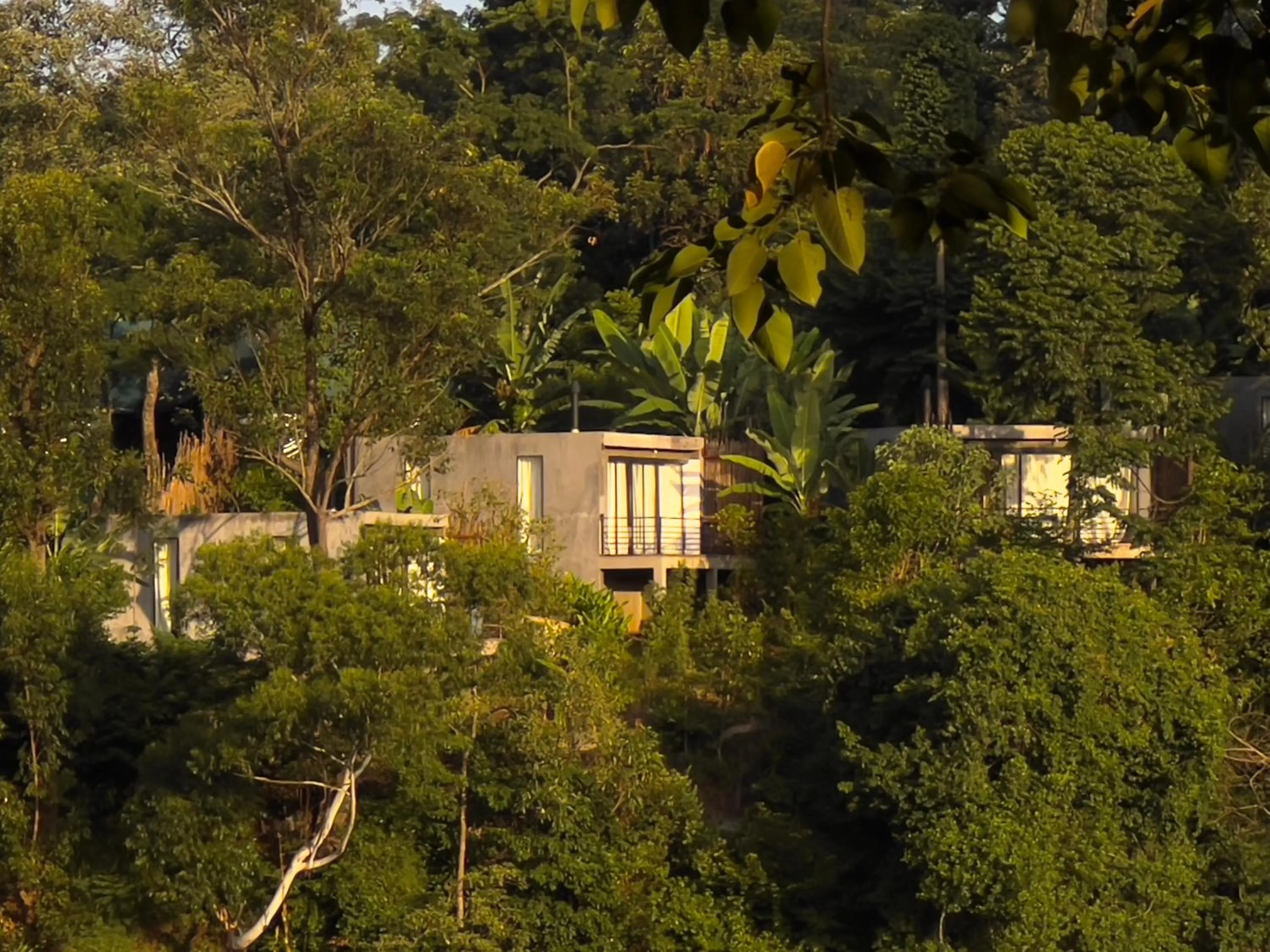 View (from property/room) in Kaliwa Lodge