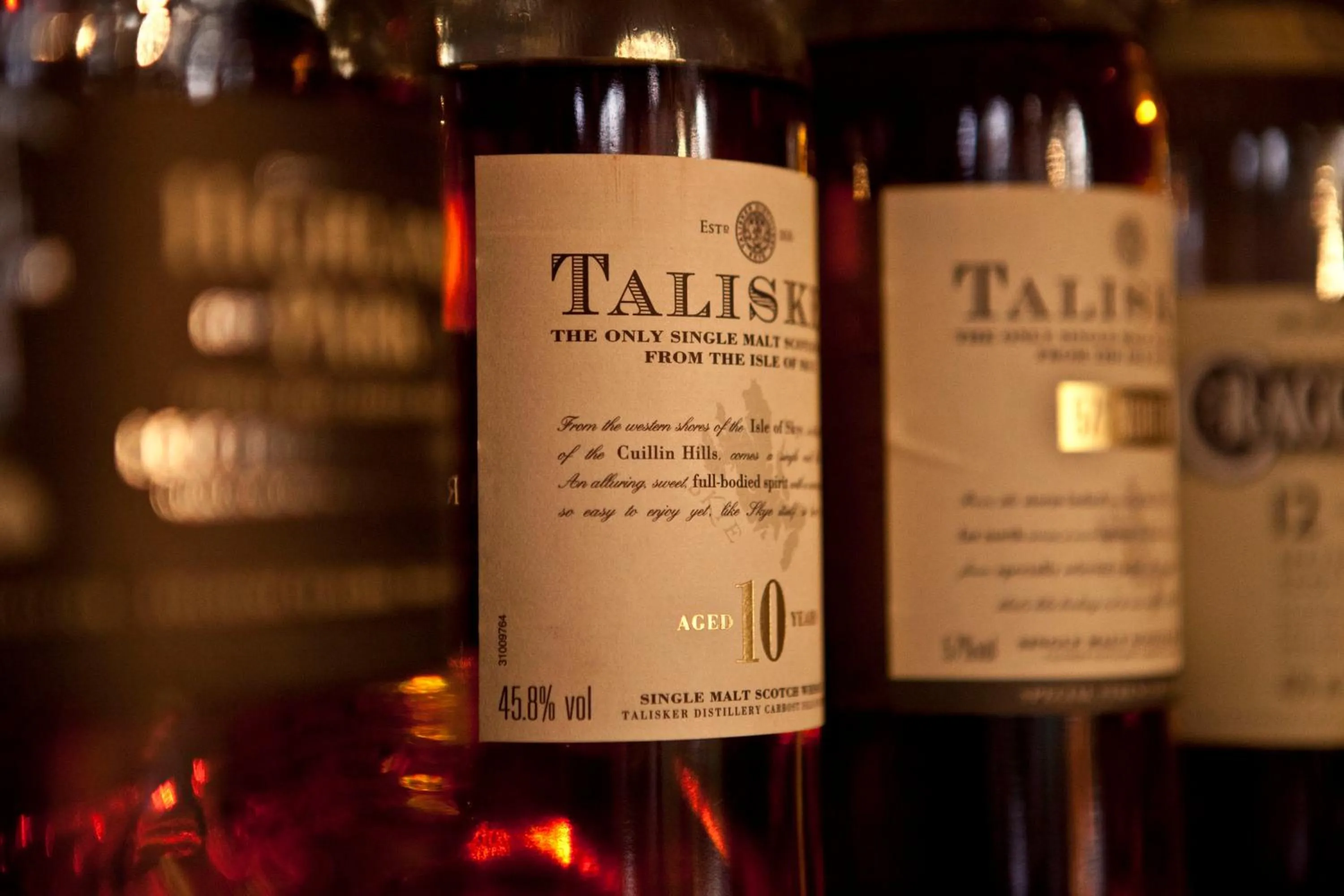 Lounge or bar in Kaliwa Lodge