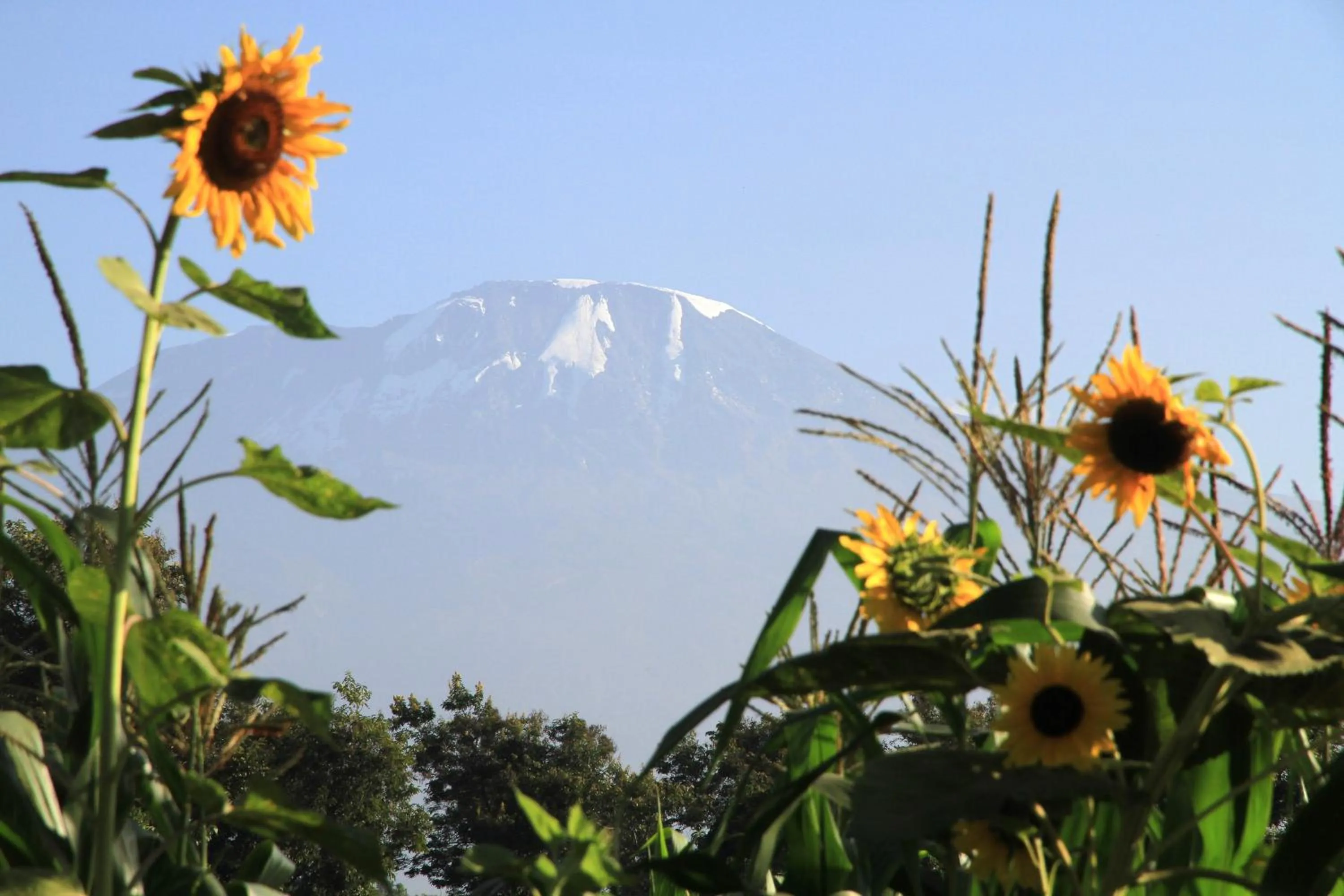 Area and facilities in Kaliwa Lodge