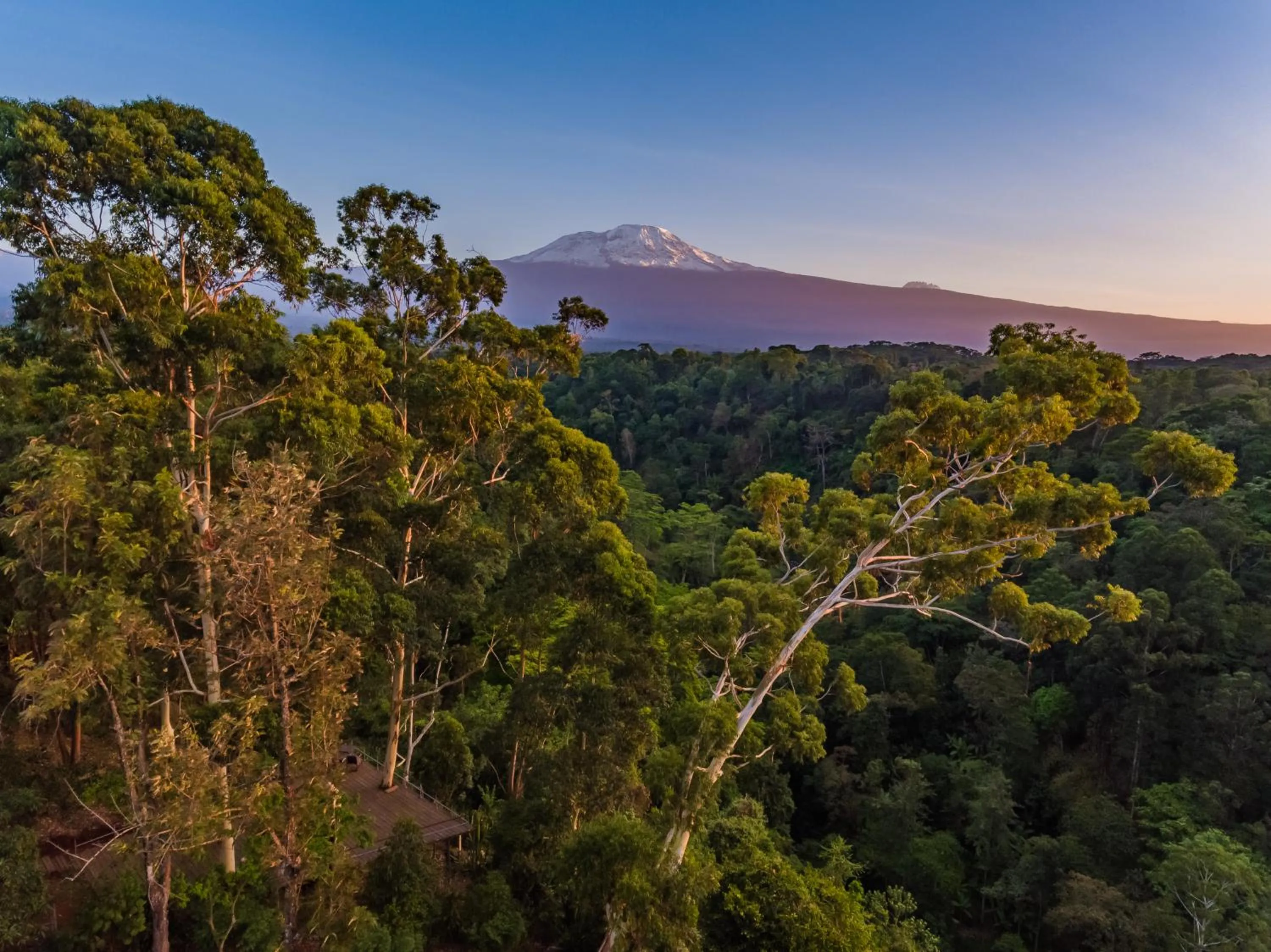 On site in Kaliwa Lodge