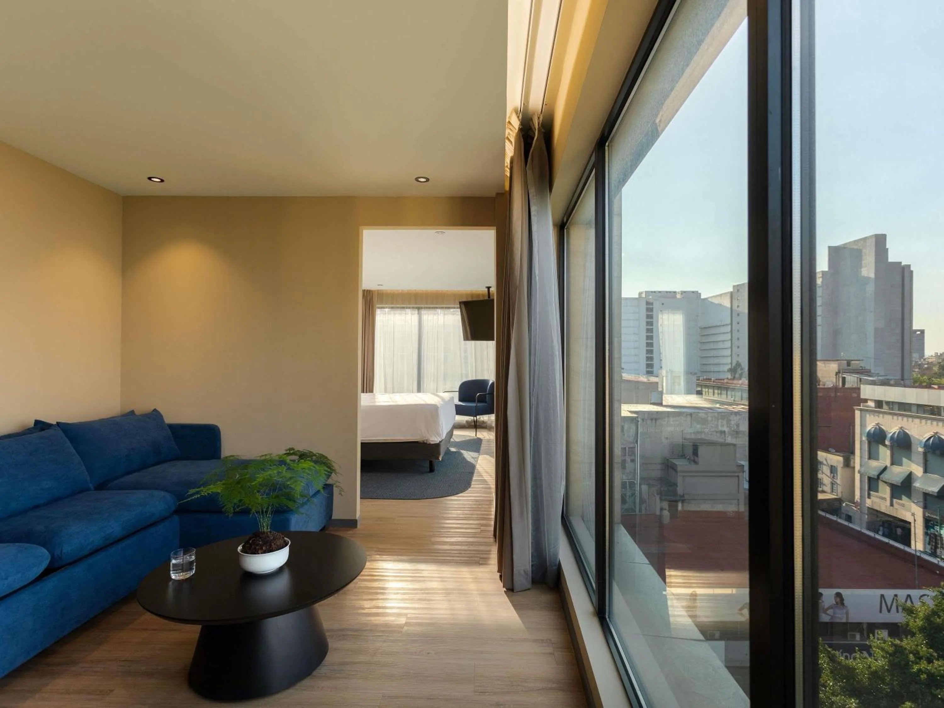 Other in Novotel México City Centro Histórico