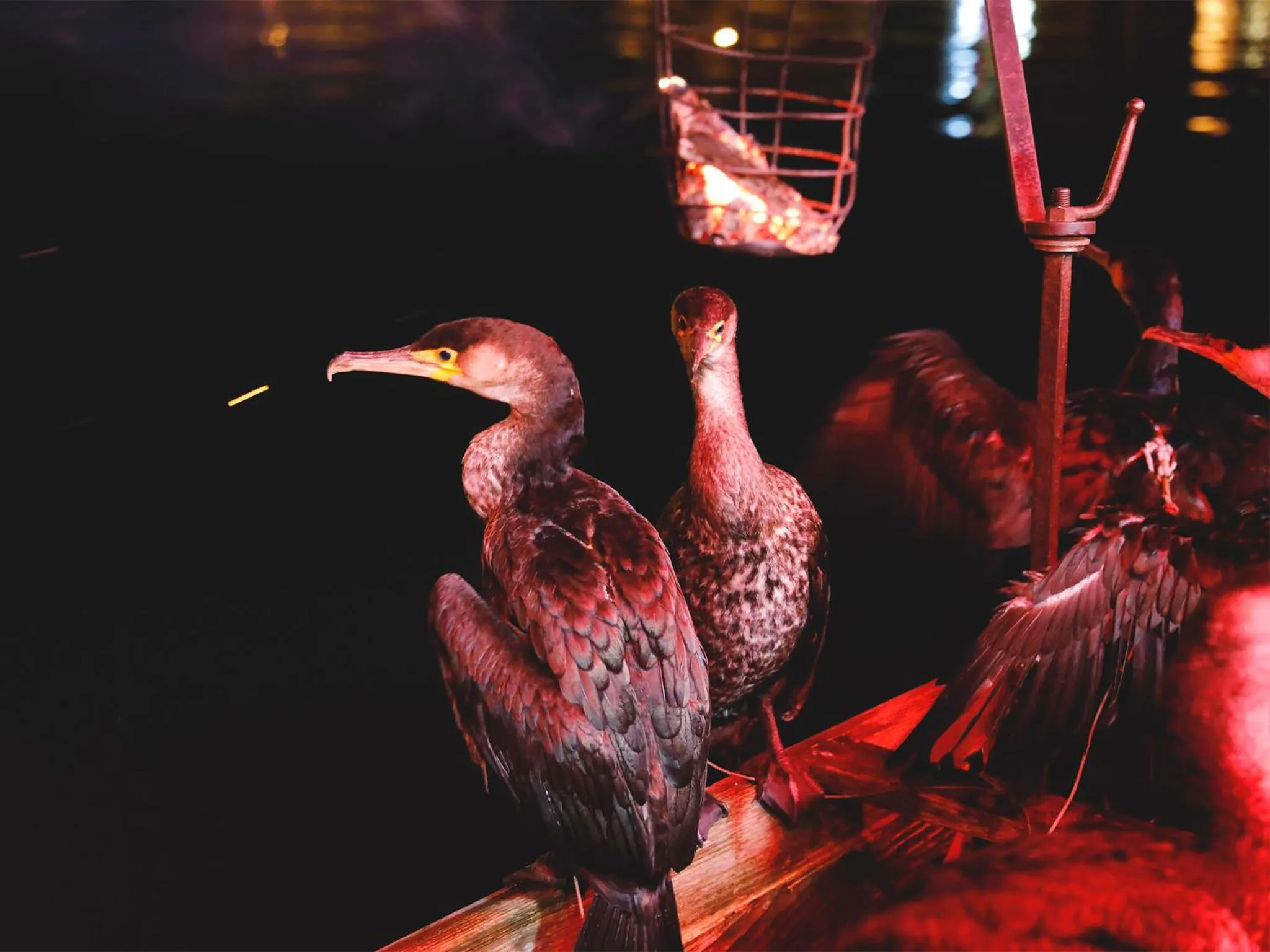 Off site in Mikuma Hotel