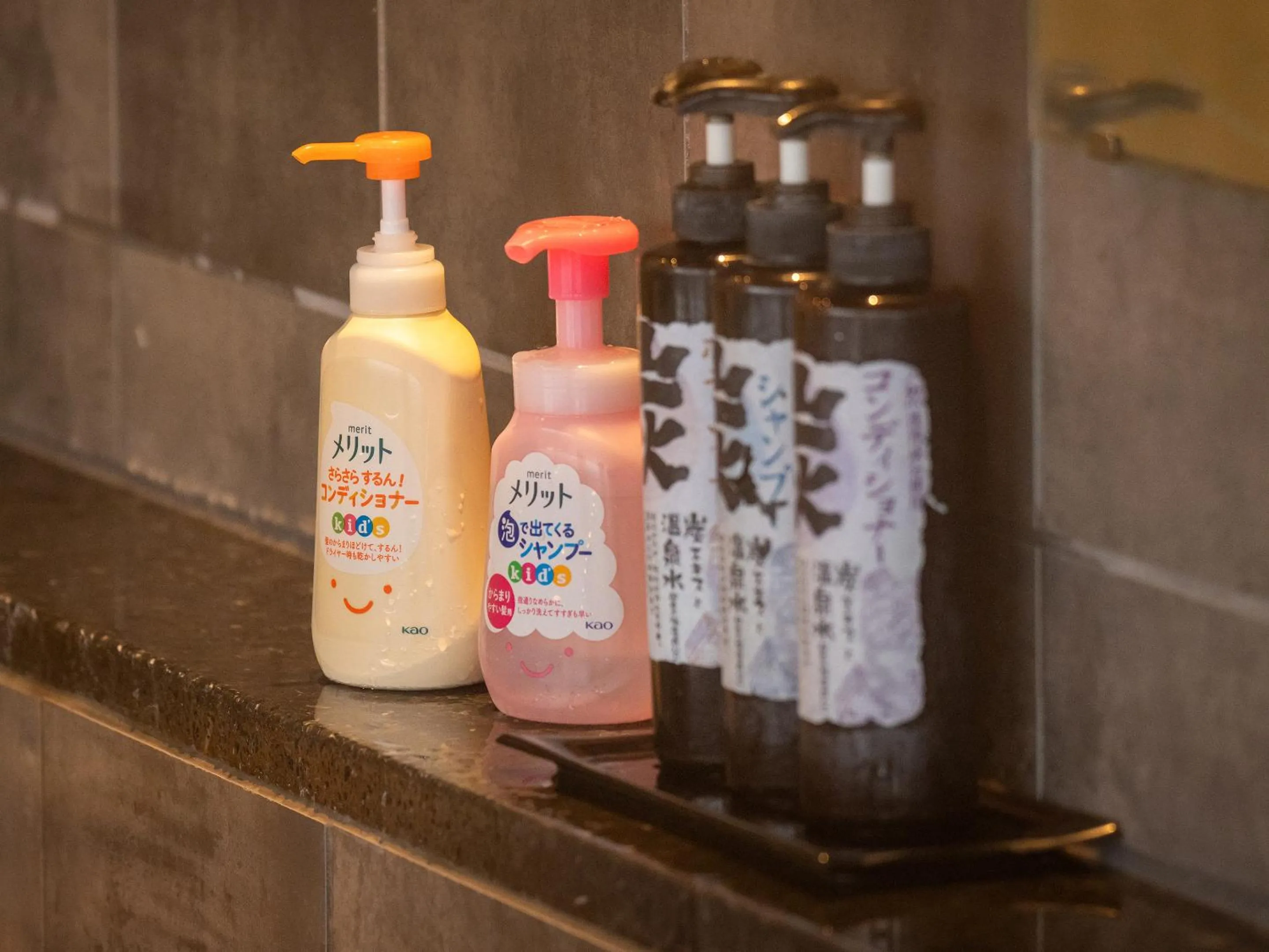 Public Bath in Mikuma Hotel