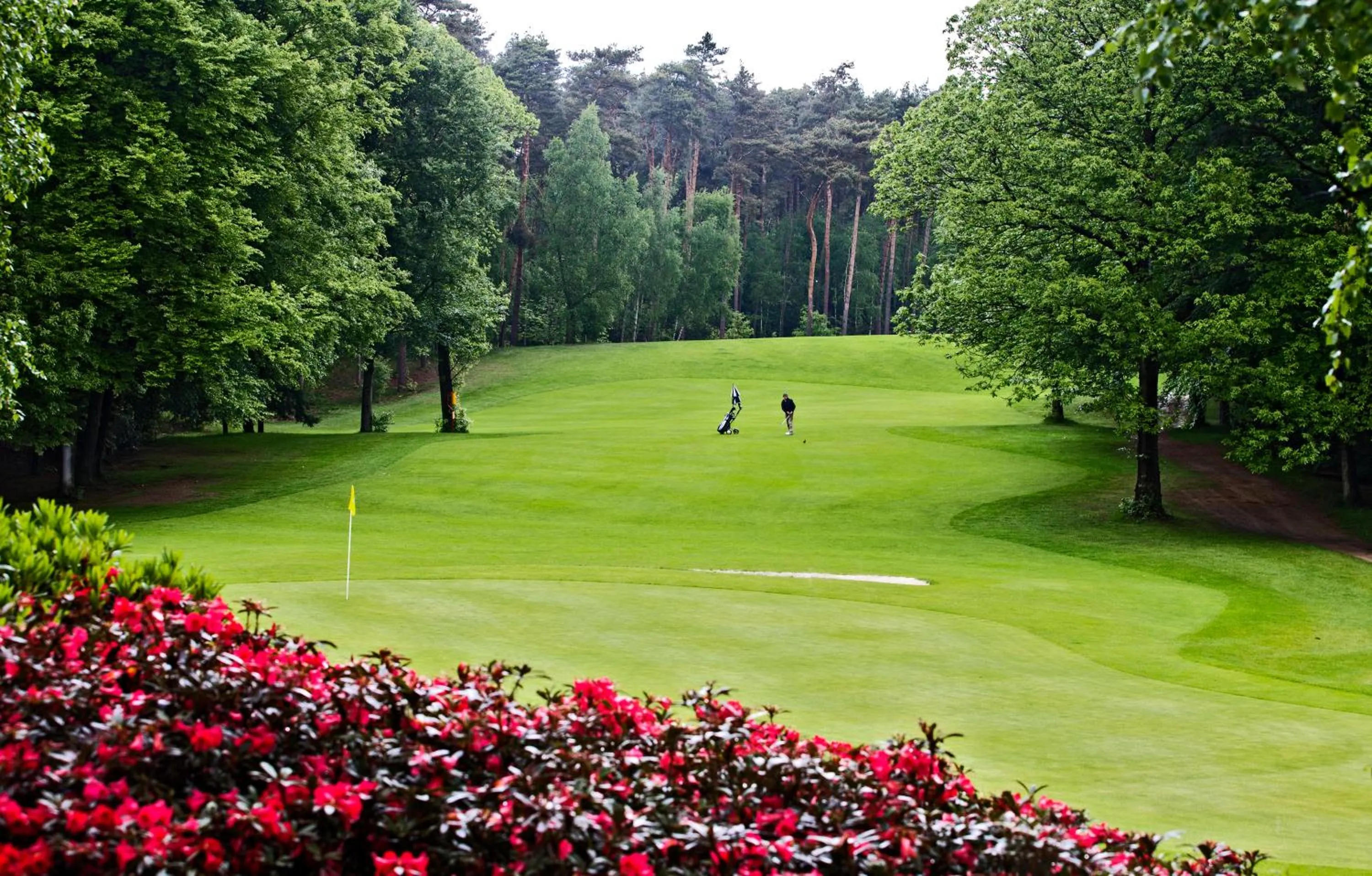 Golfcourse in Romantik Hotel Kasteel Daelenbroeck