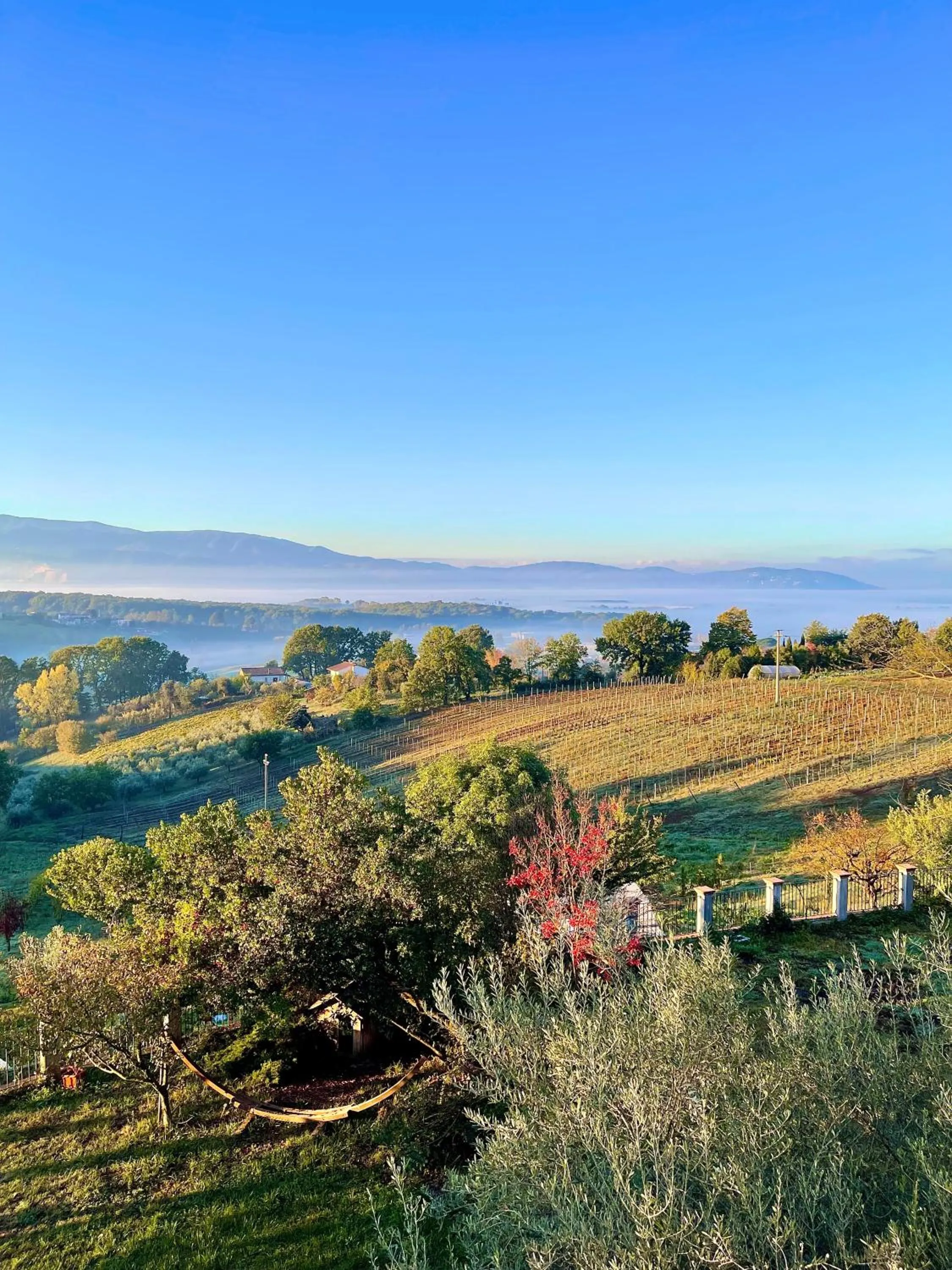 Day in Donna Vittori - Borgo Agricolo