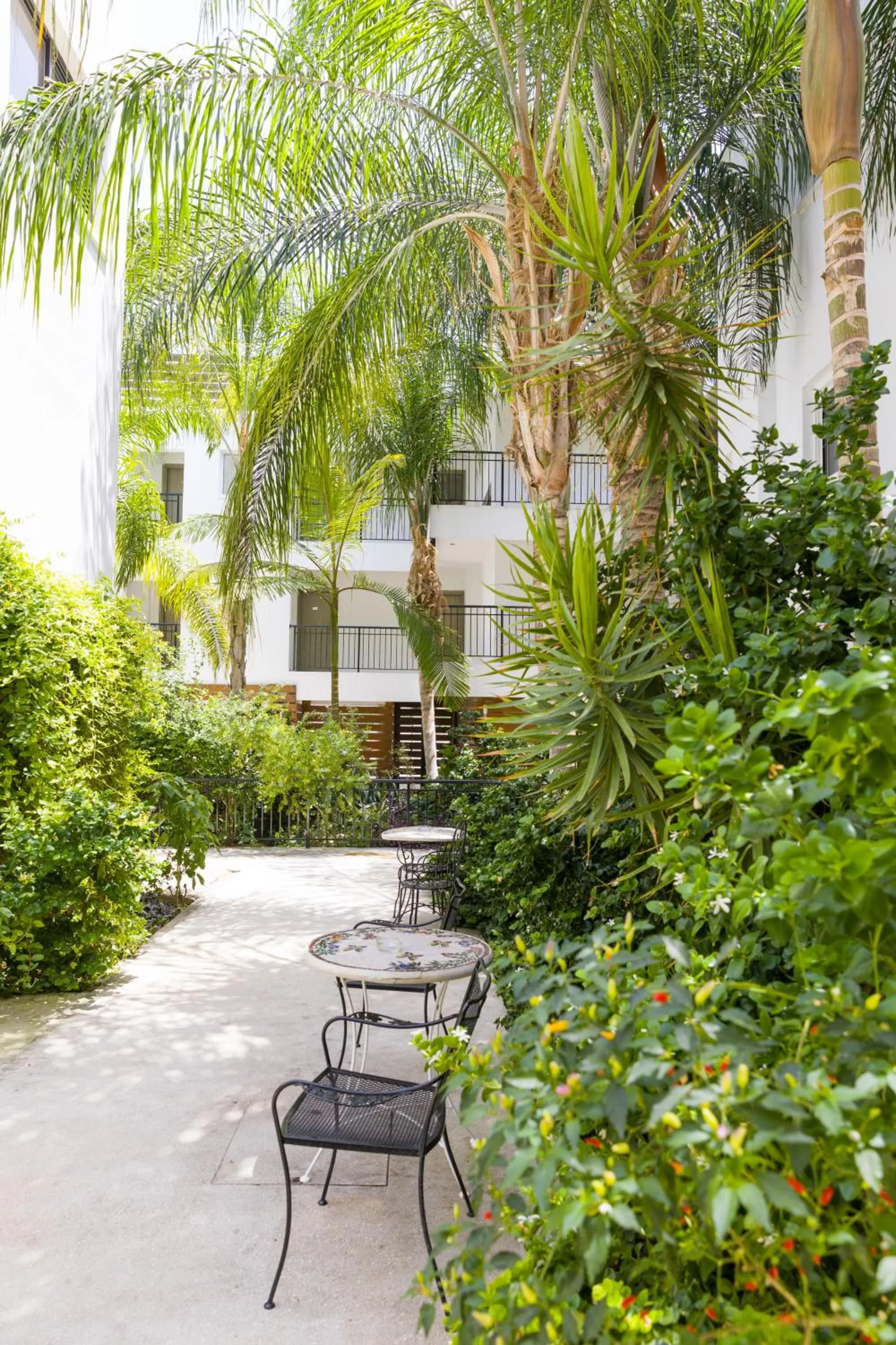 Garden in Alecos Hotel Apartments