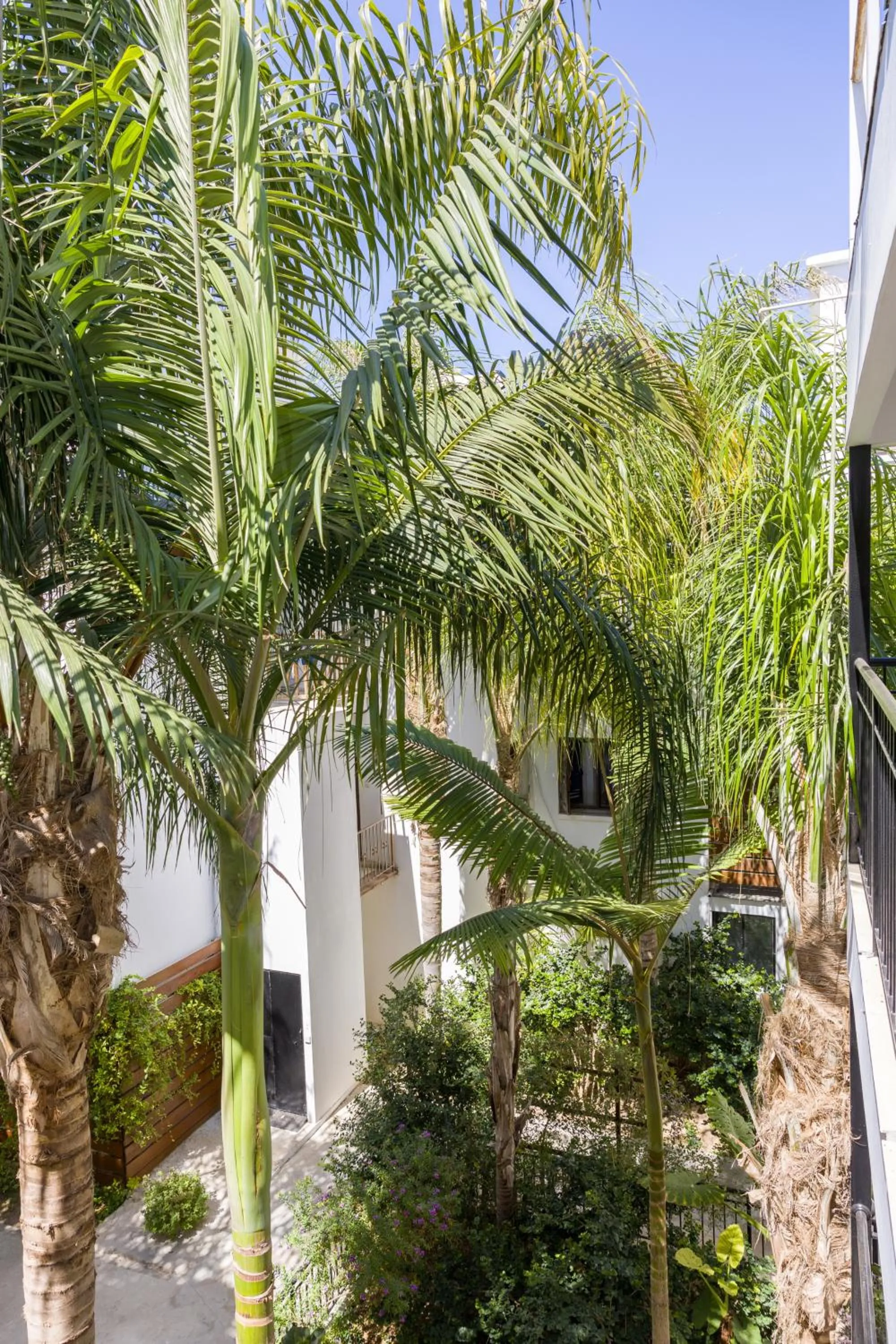 Property building in Alecos Hotel Apartments