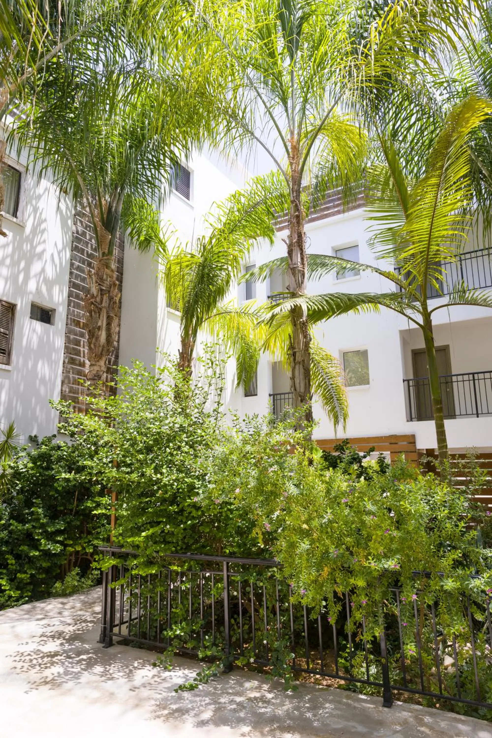 Garden view in Alecos Hotel Apartments