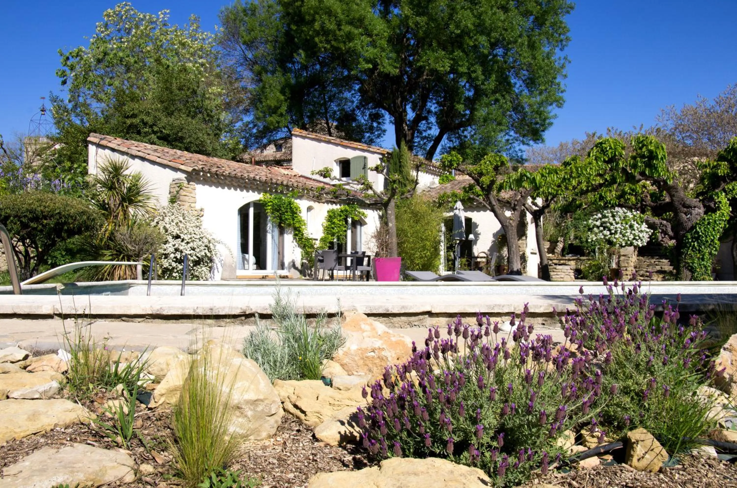 Garden view in La Bastide des Mûriers