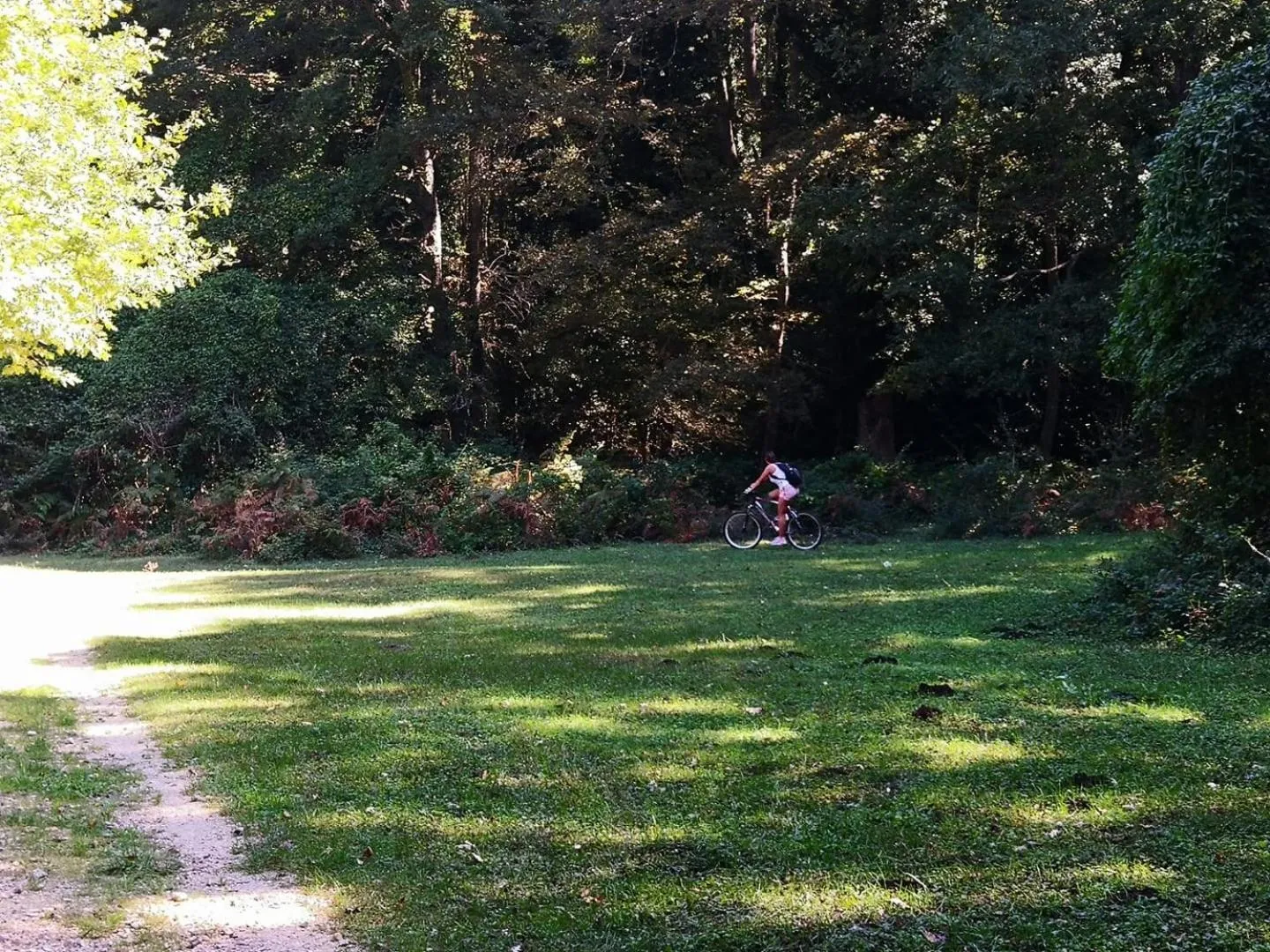 Bird's eye view in Casa Natura Gargano