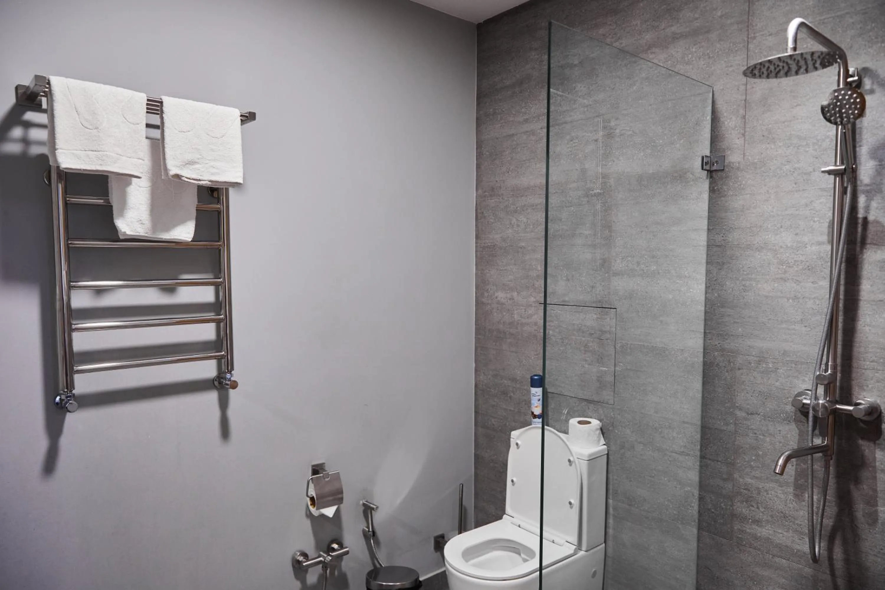 Toilet in Art Plaza Hotel