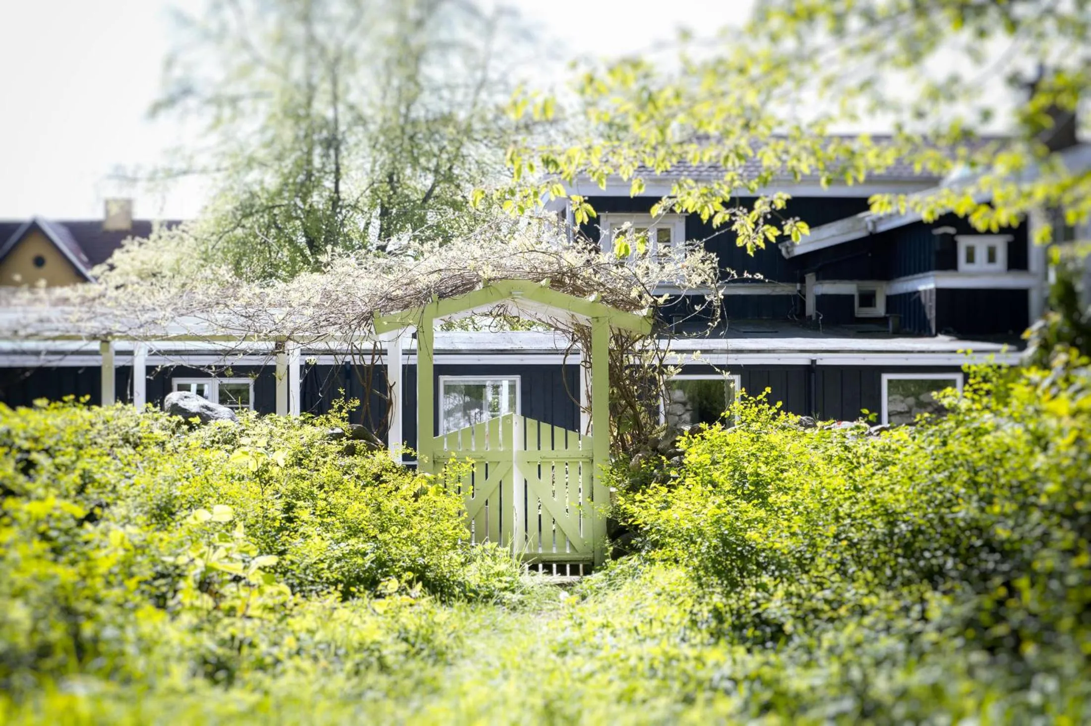 Property building in Hotel Villa Brinkly