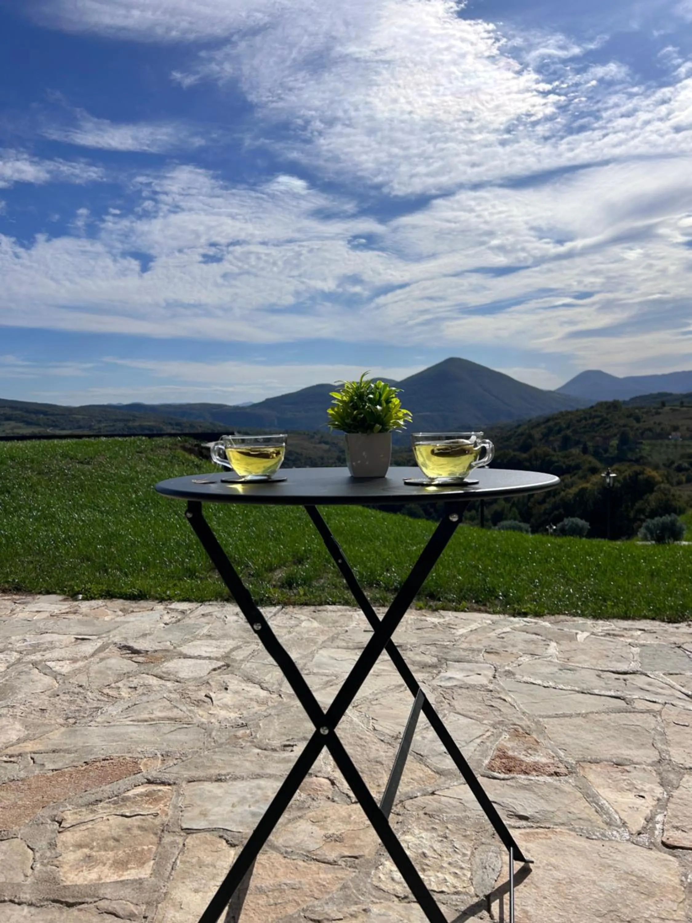 View (from property/room) in Zemunice Knezevic