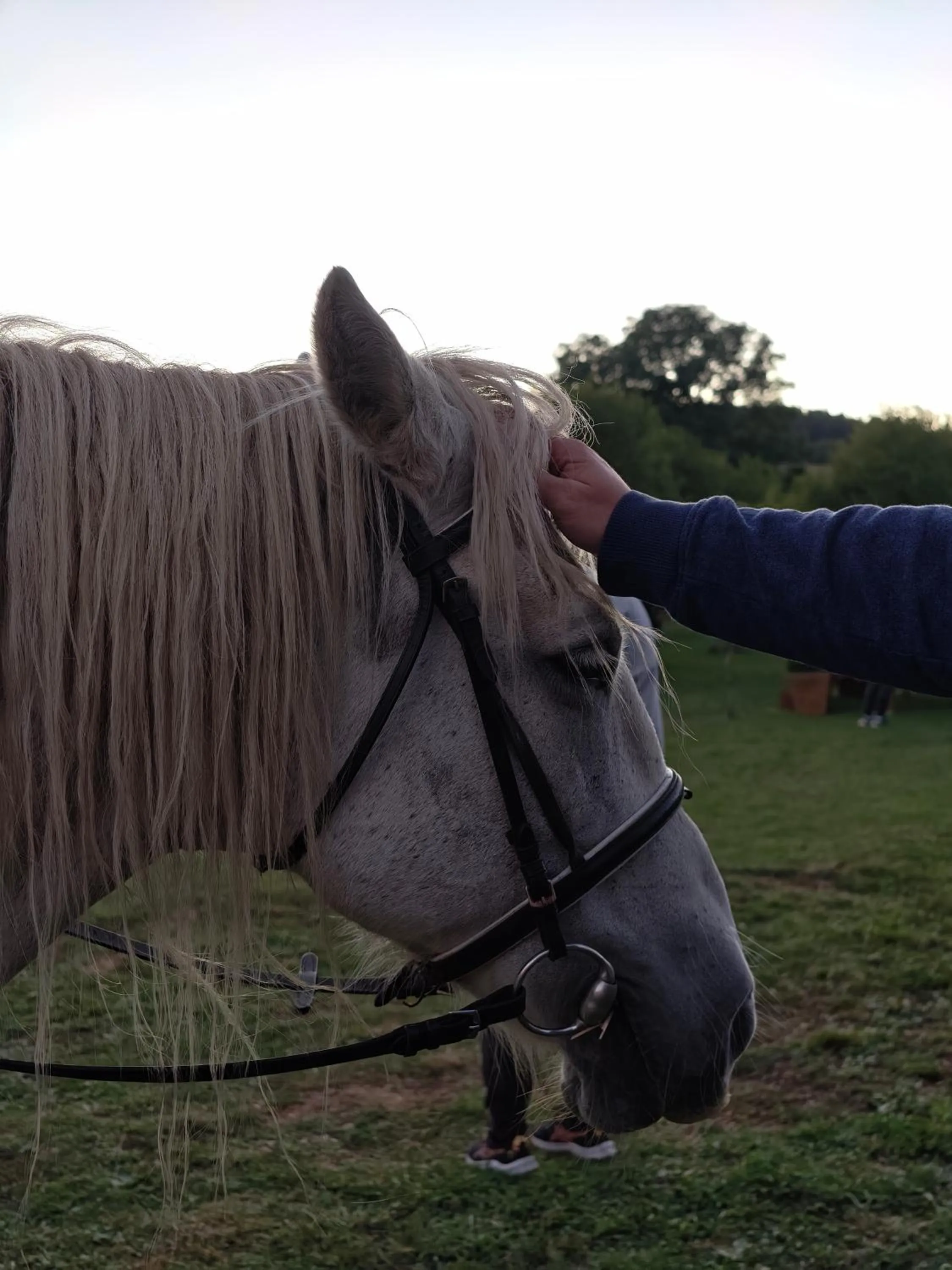 Activities in Zemunice Knezevic