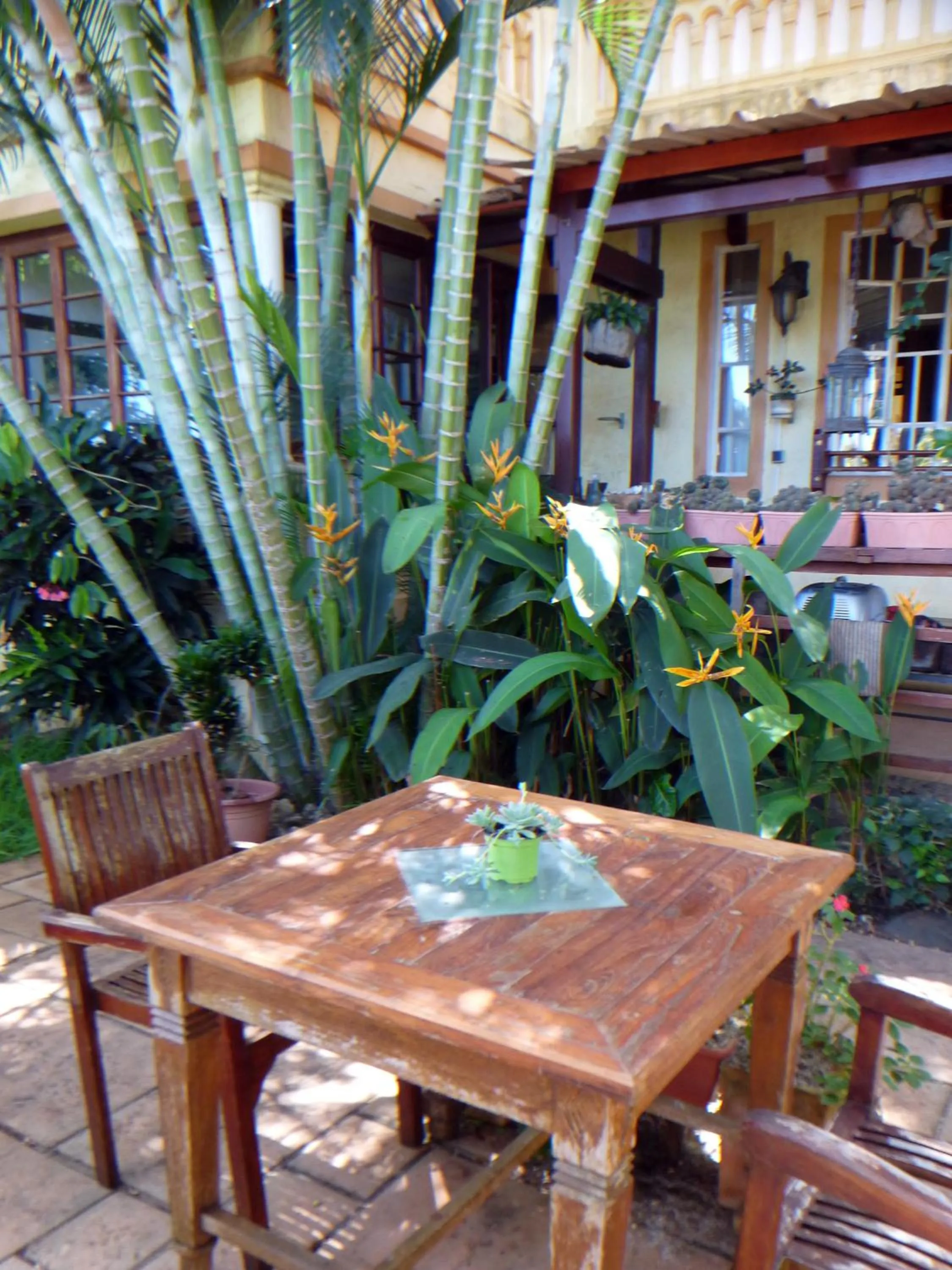 Property building in La Reine Creole