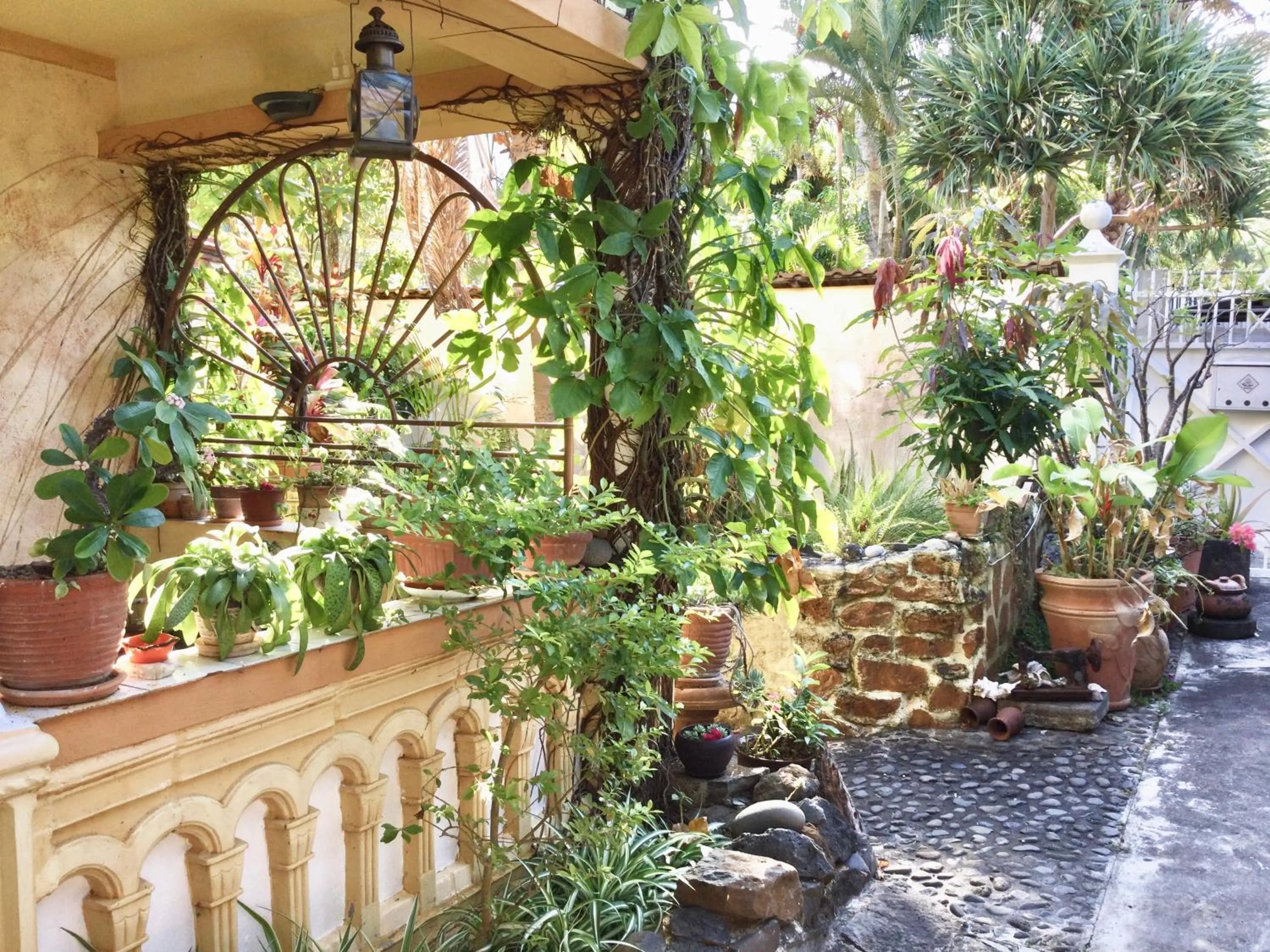 Property building in La Reine Creole