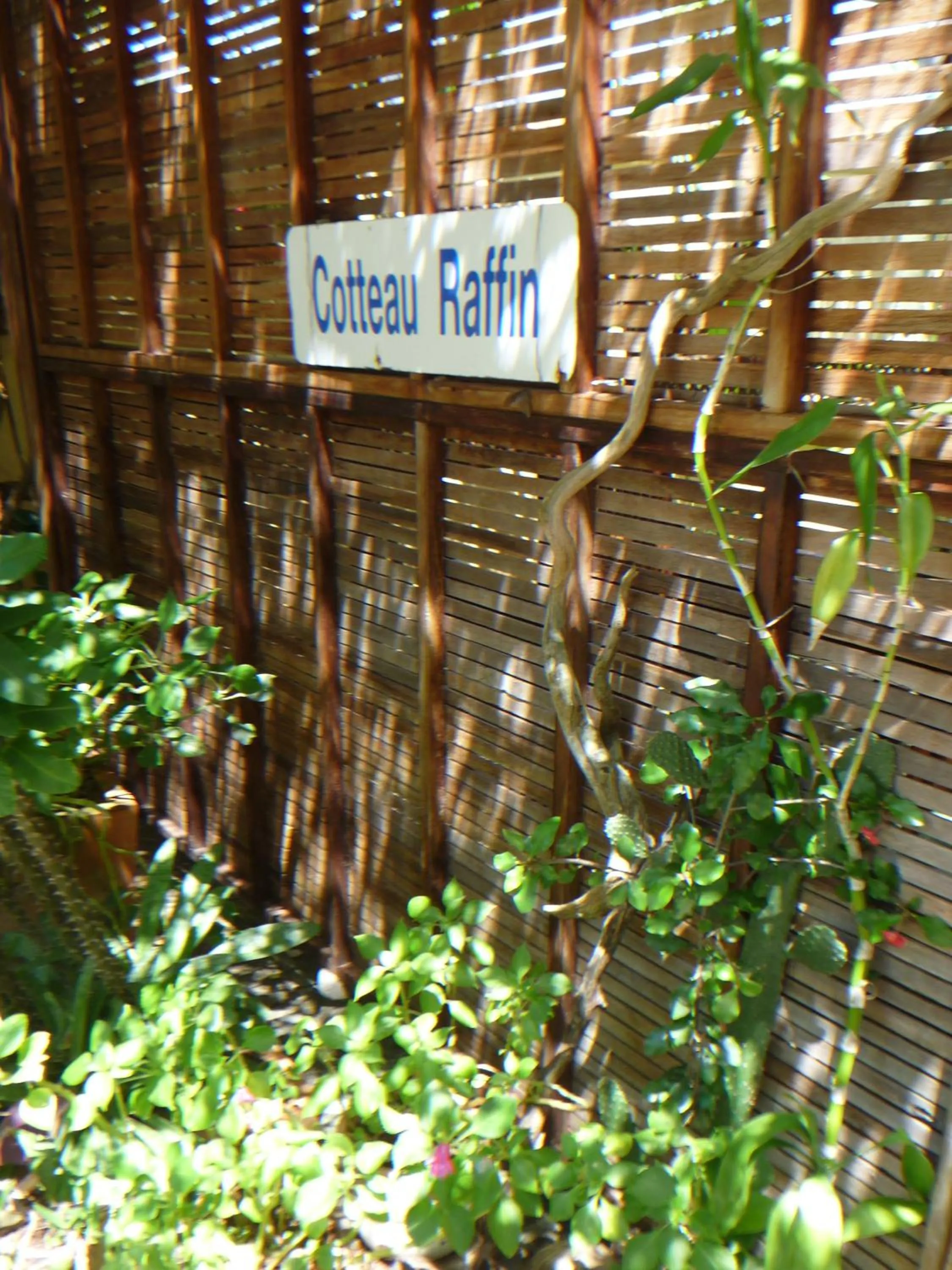 Facade/entrance in La Reine Creole