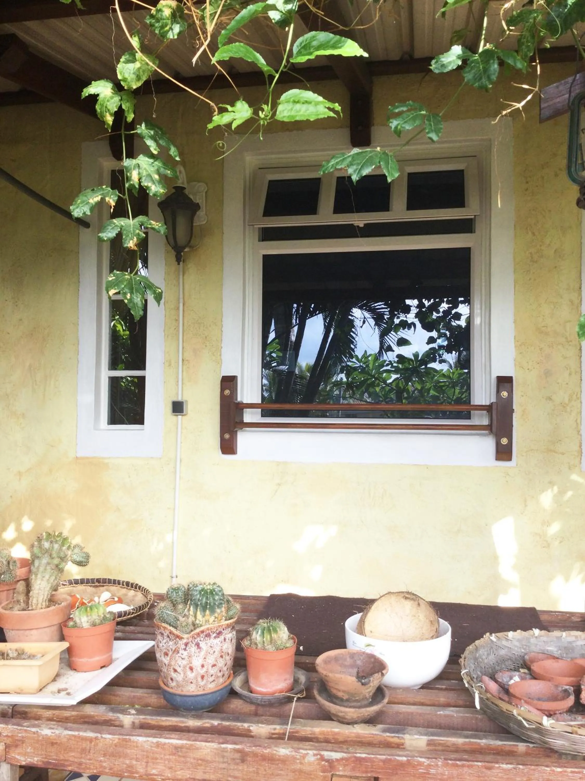 Property building in La Reine Creole