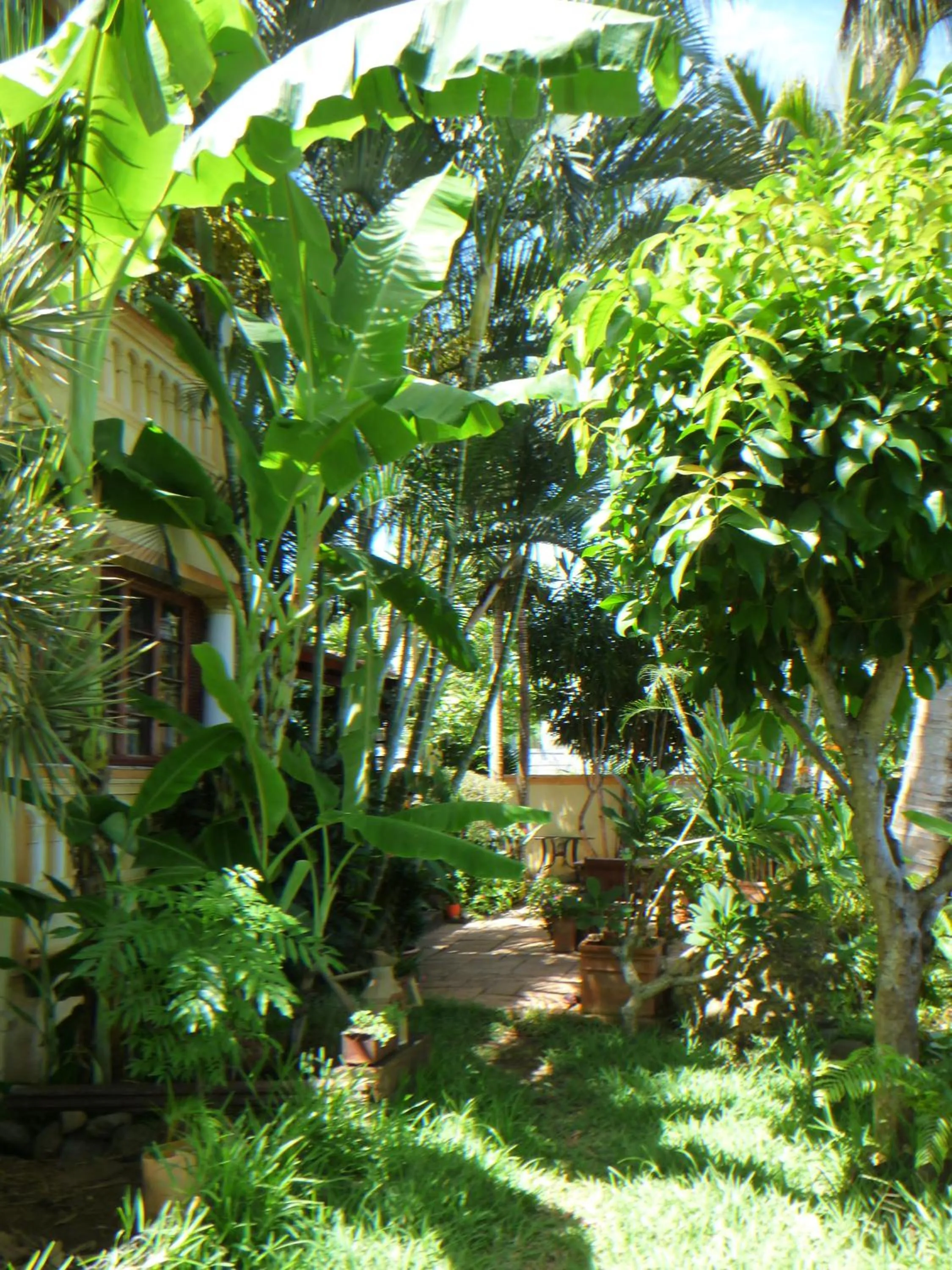 Property building in La Reine Creole