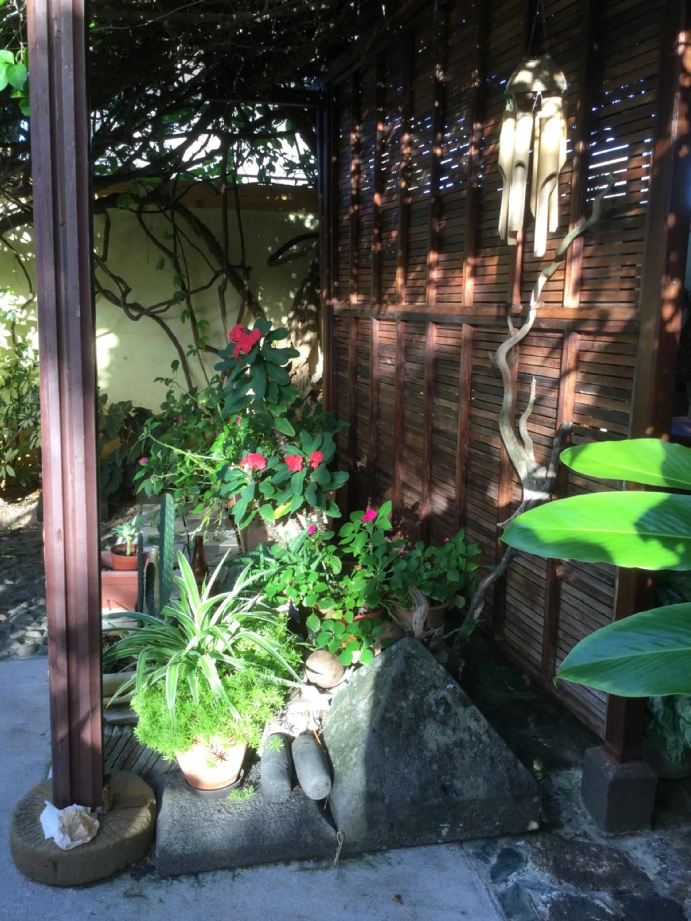 Garden in La Reine Creole