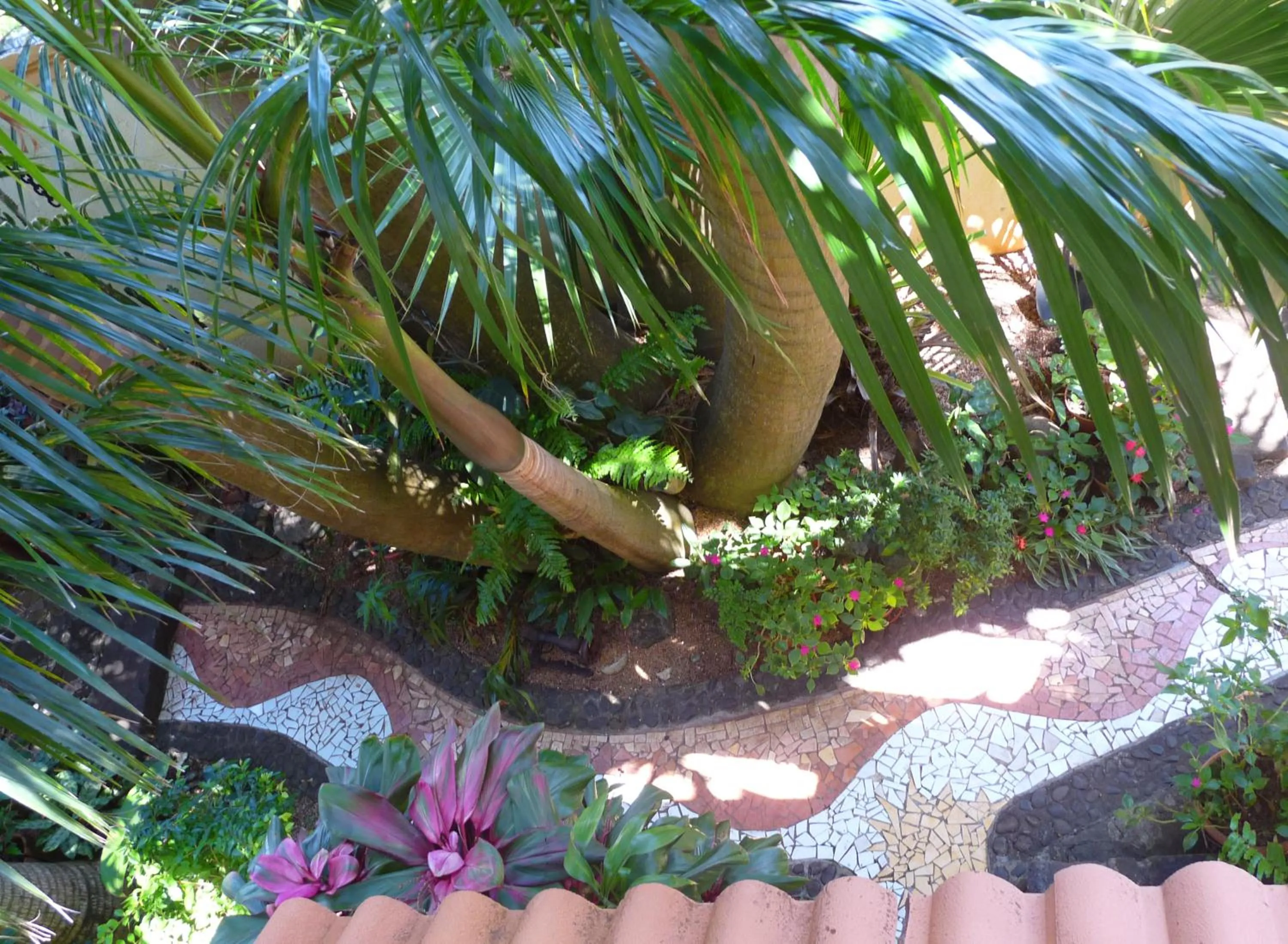 Garden in La Reine Creole