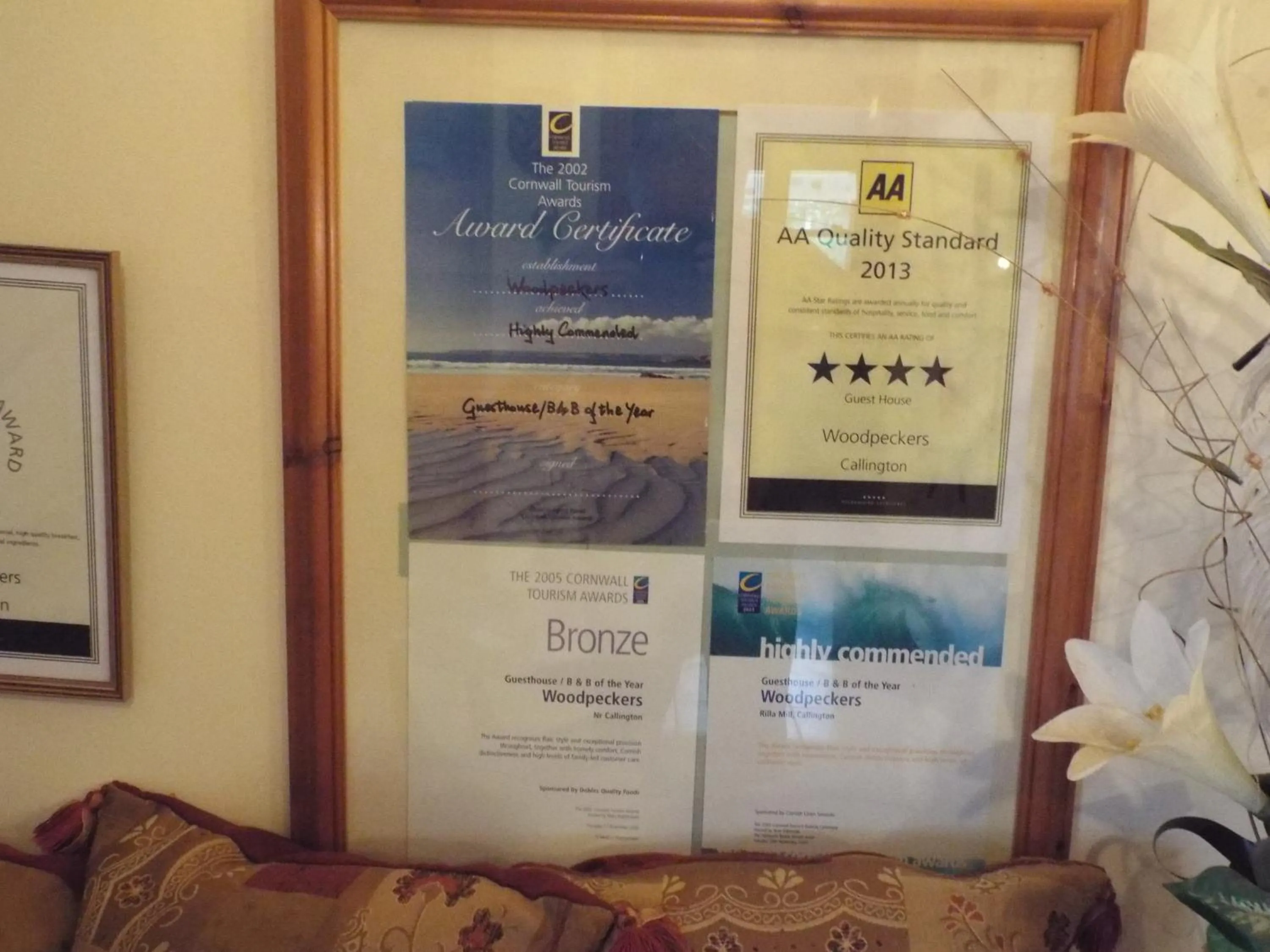 Other in Woodpeckers