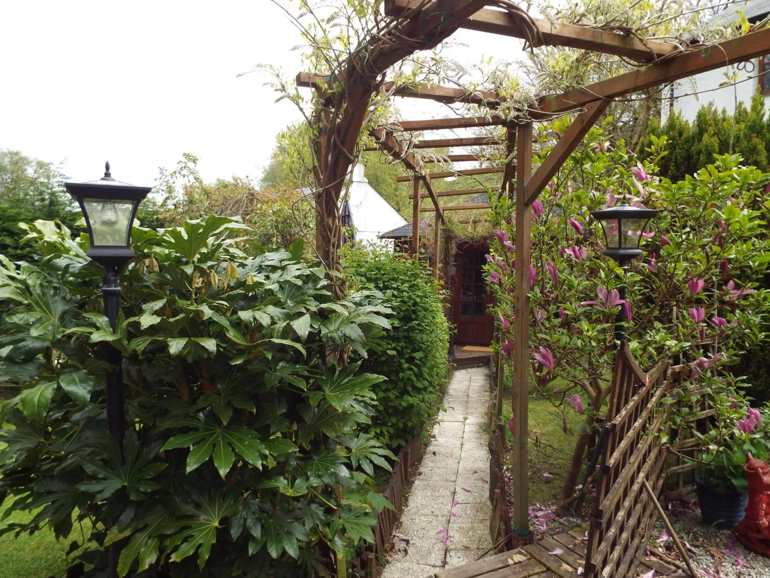 Garden in Woodpeckers